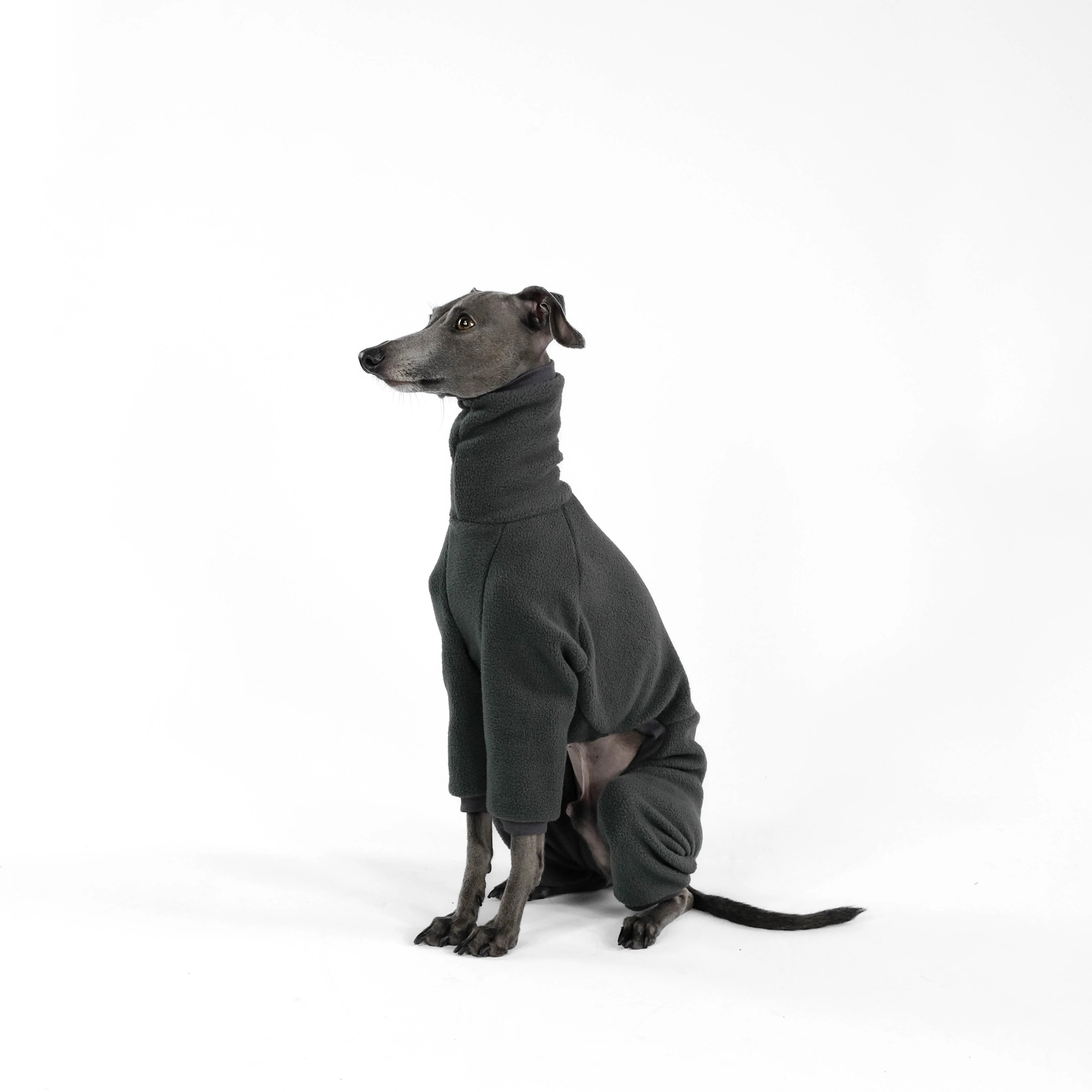 OVERALL Iggy Graphite - Image 10