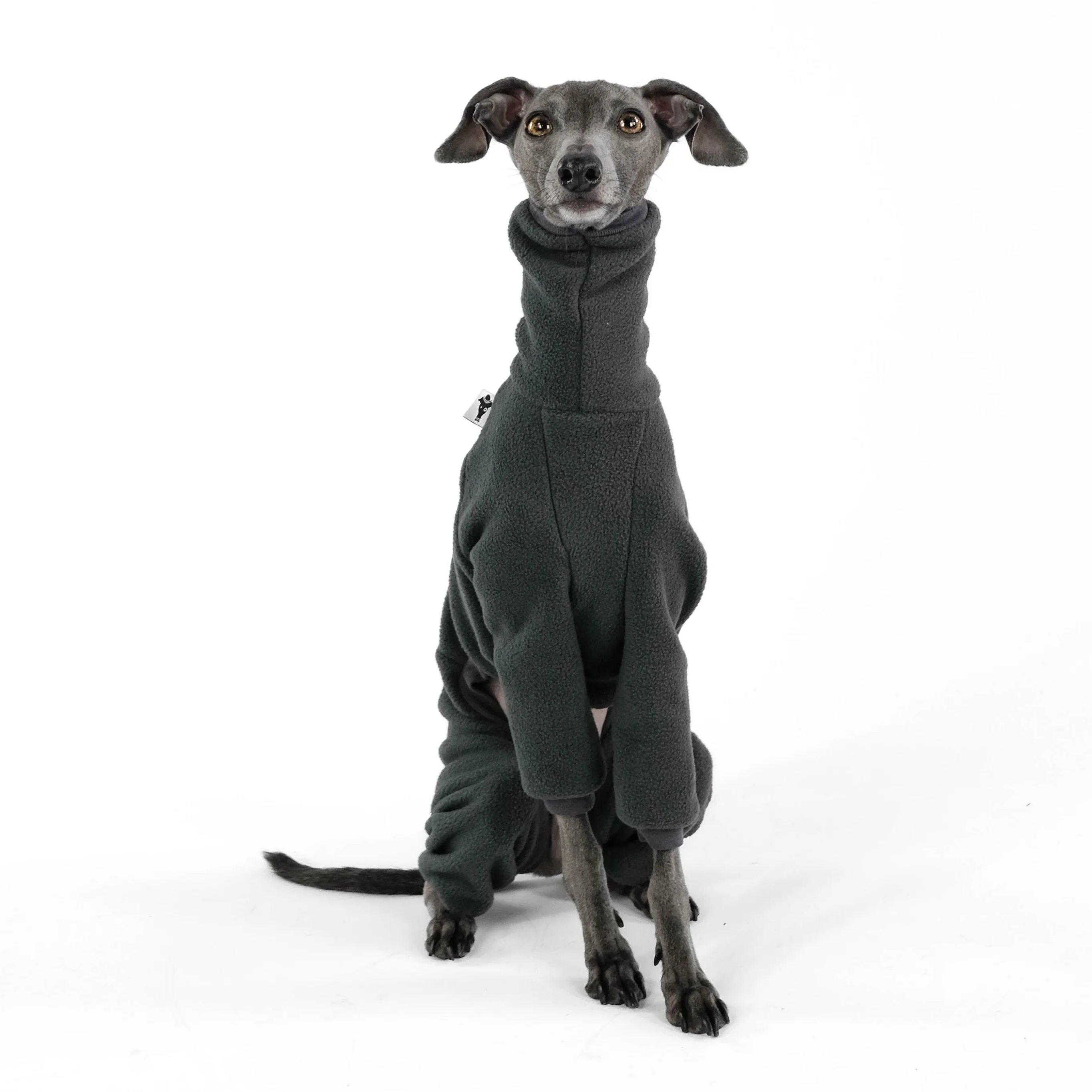 OVERALL Iggy Graphite - Image 4