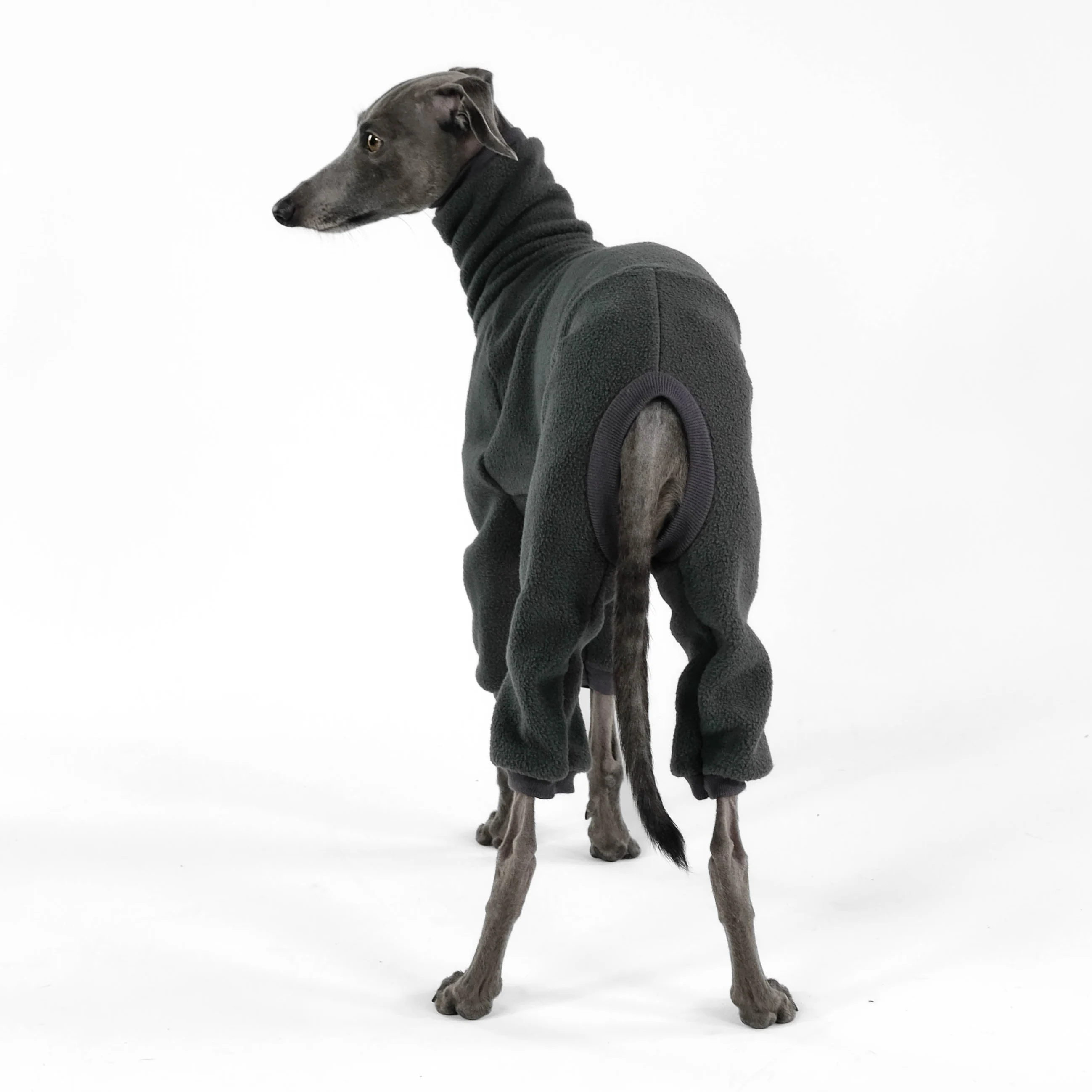 OVERALL Iggy Graphite - Image 5