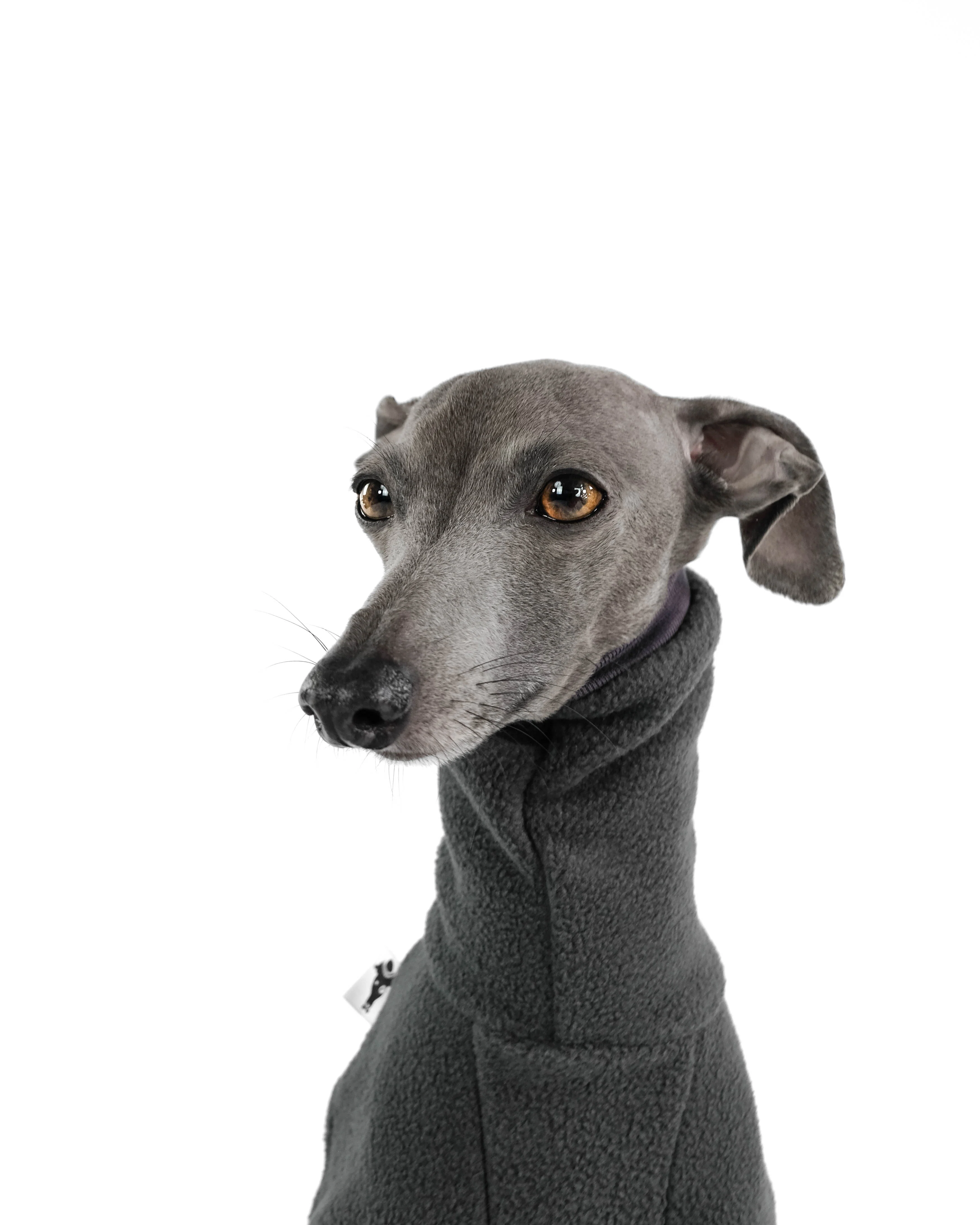 OVERALL Iggy Graphite - Image 6