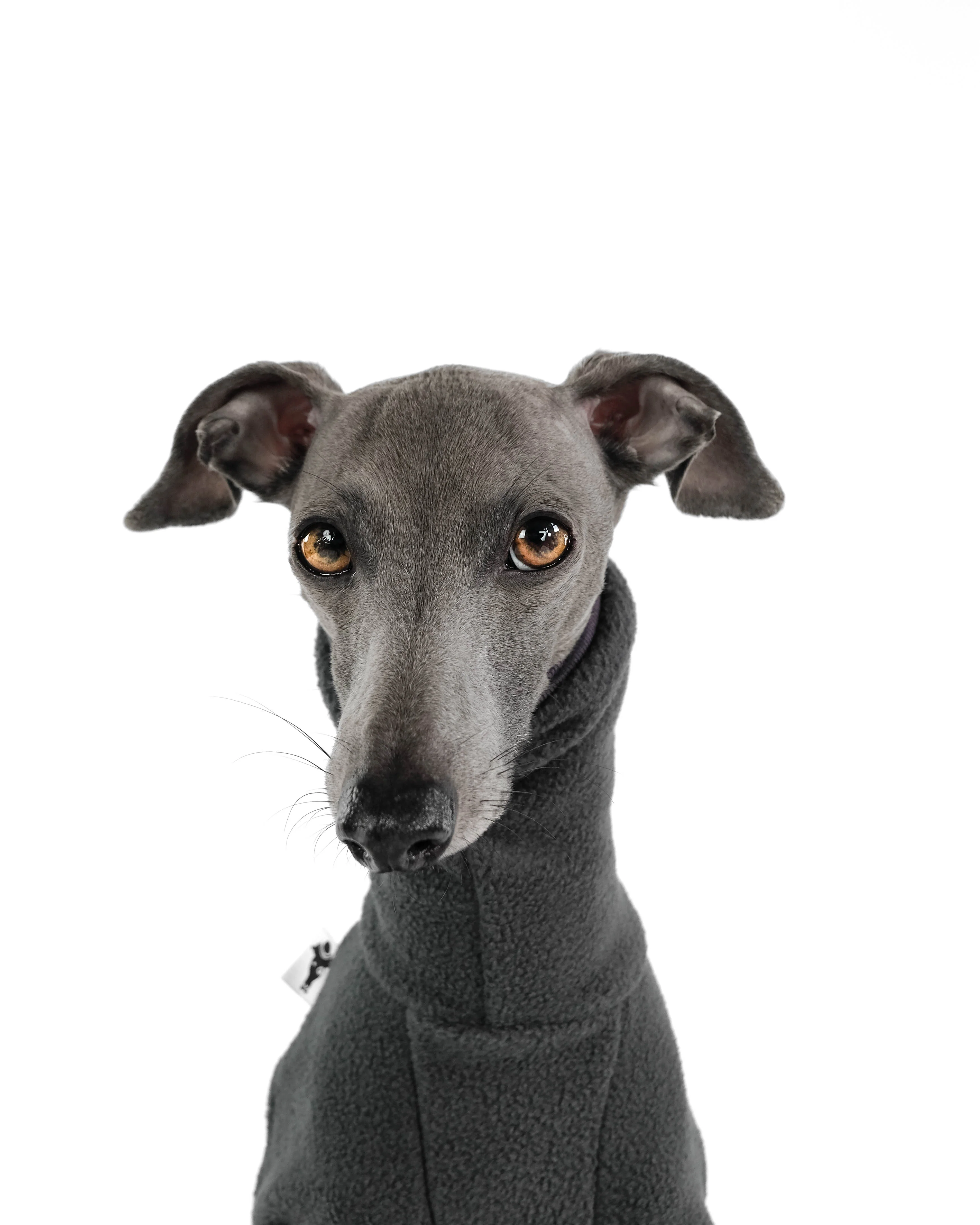 OVERALL Iggy Graphite - Image 7