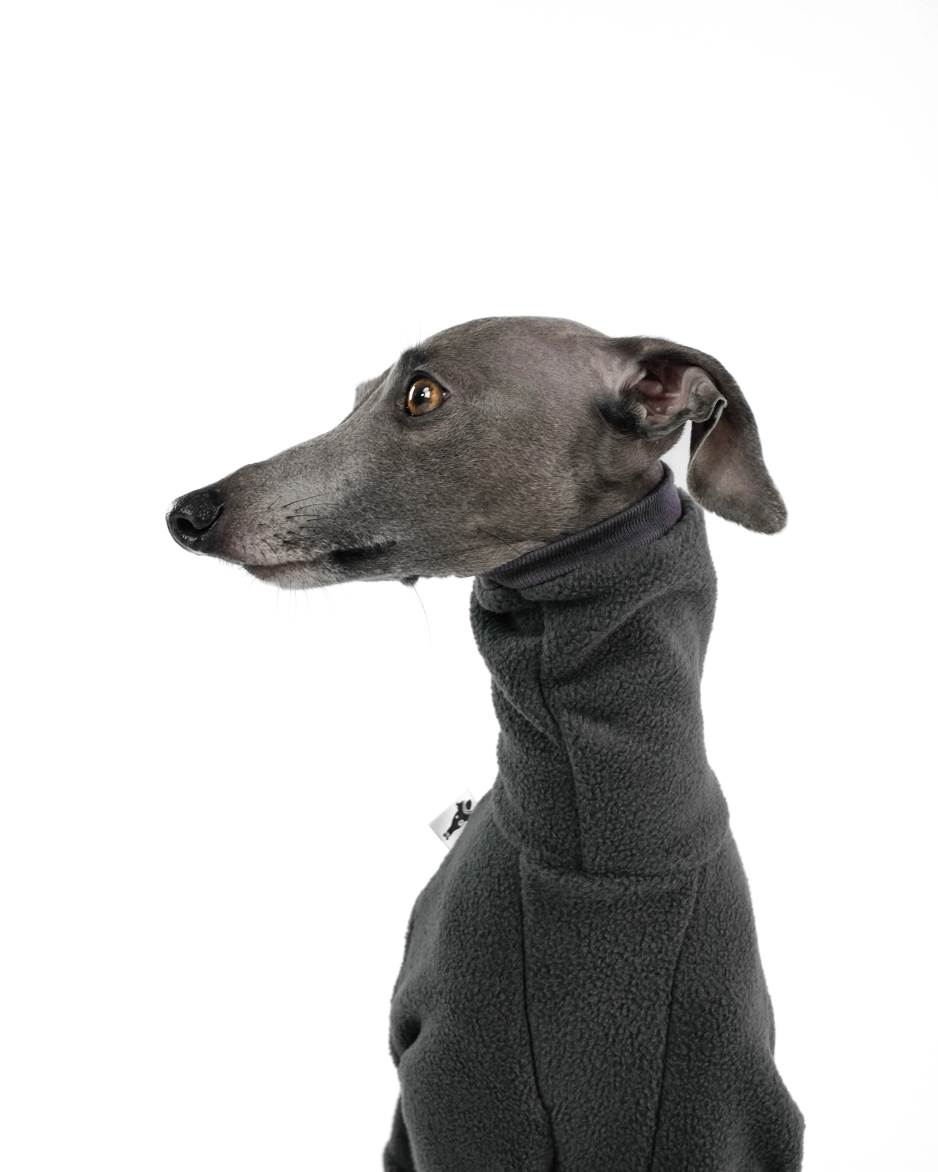 OVERALL Iggy Graphite - Image 8