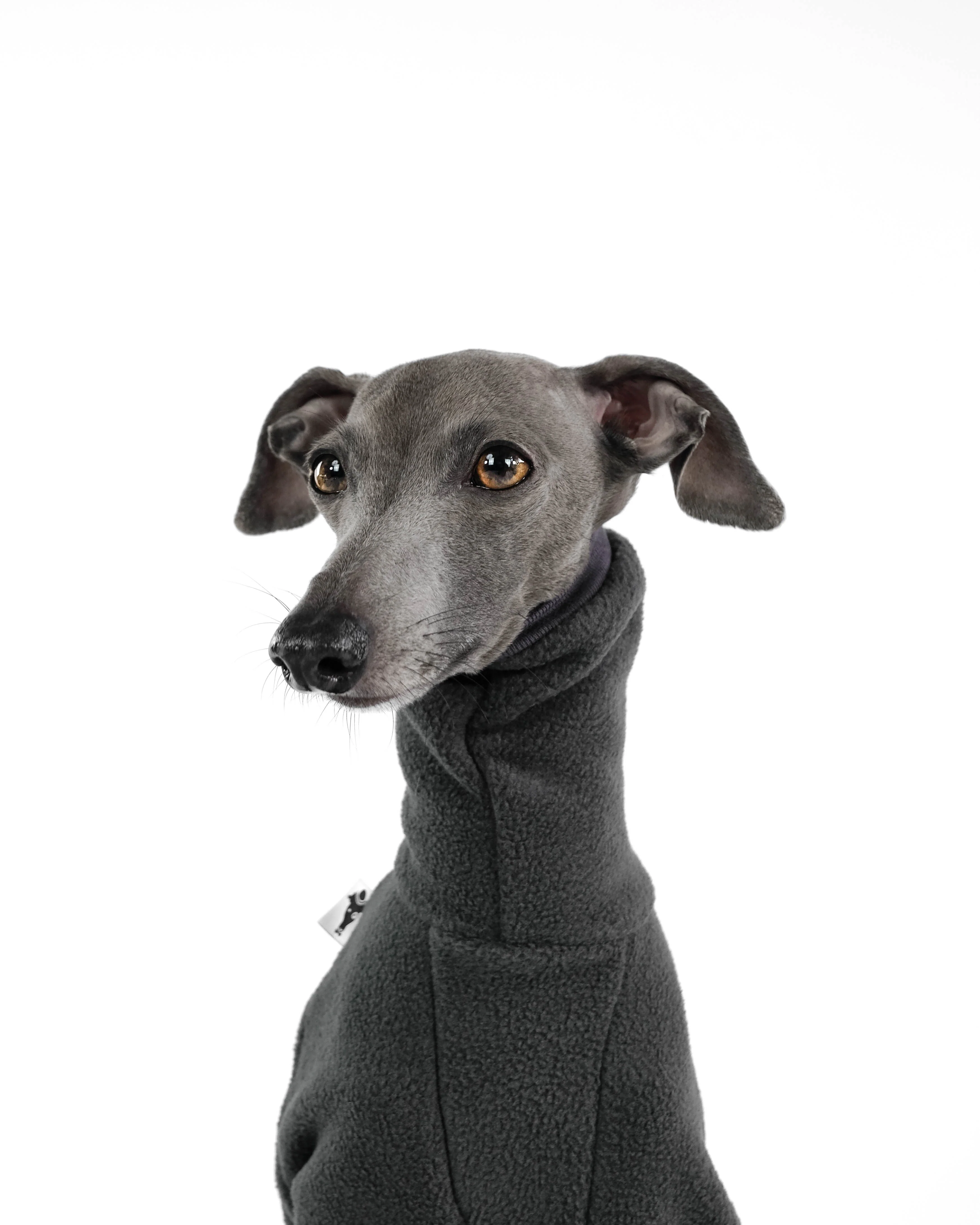 OVERALL Iggy Graphite - Image 9