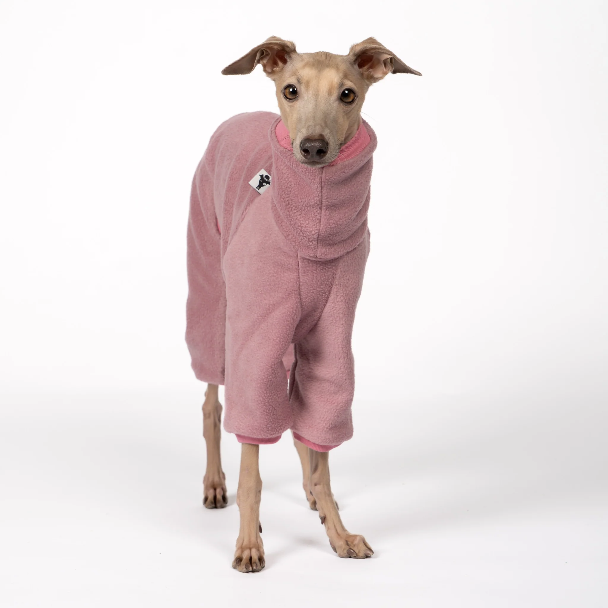 OVERALL Iggy Mulberry - Image 2