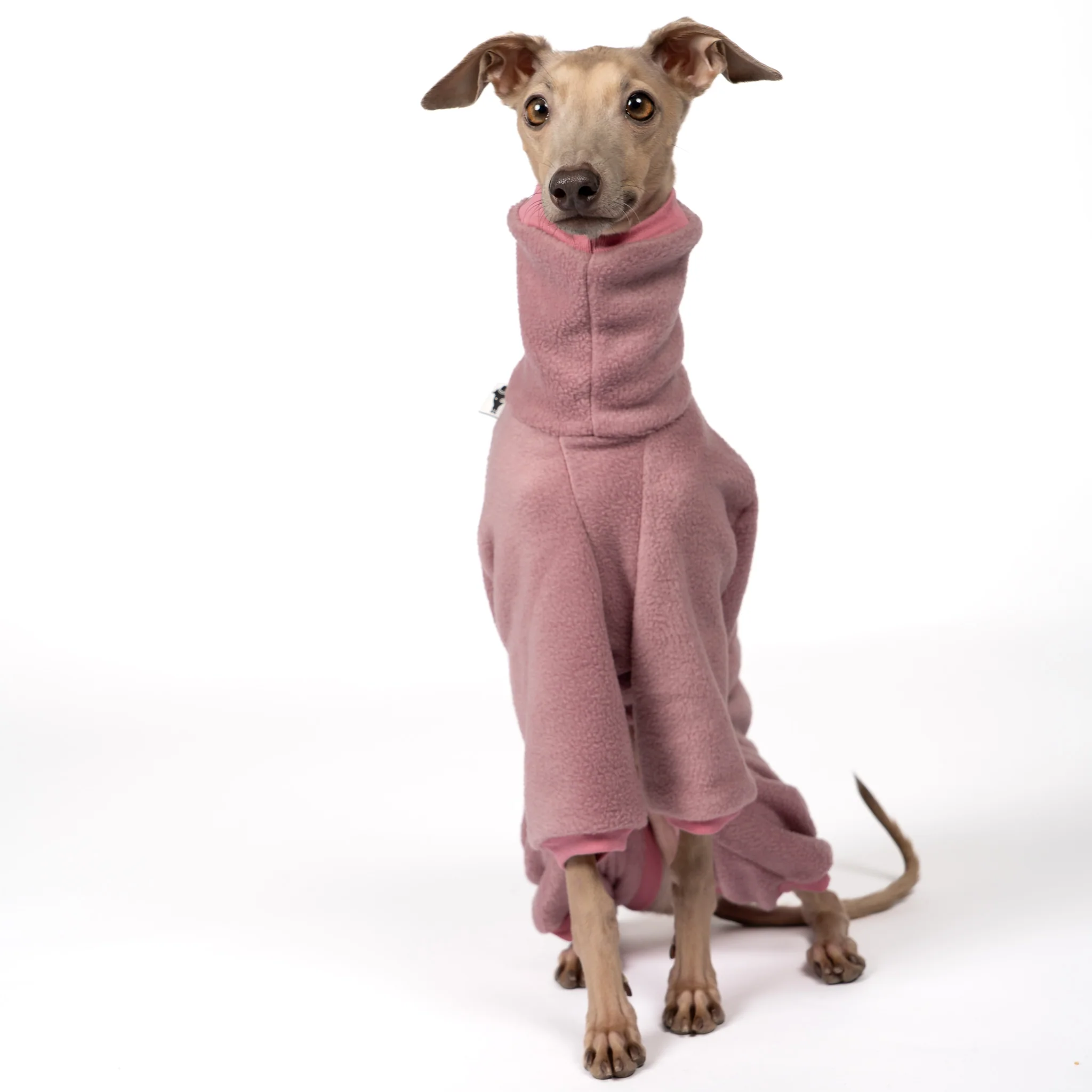 OVERALL Iggy Mulberry - Image 3