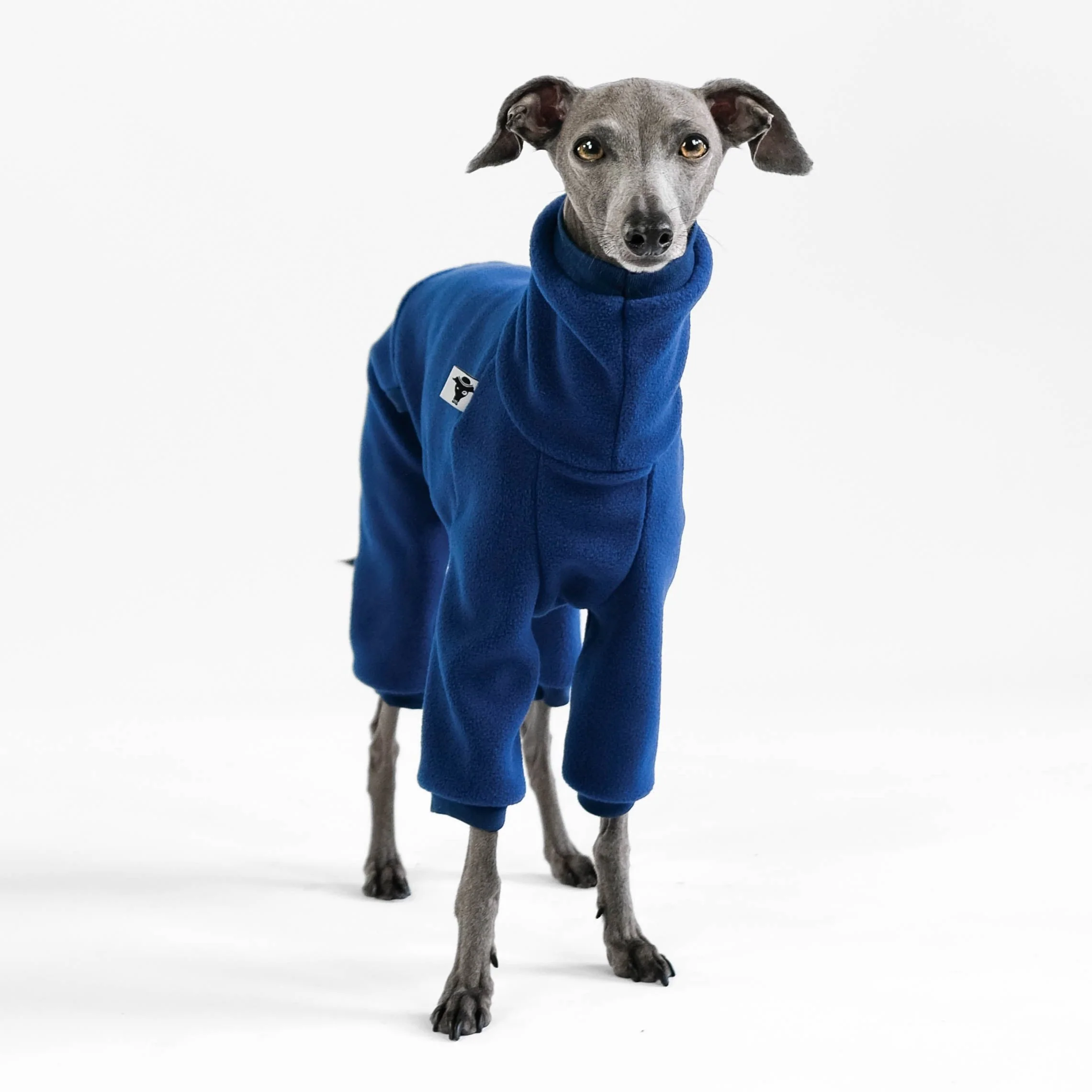 OVERALL Iggy Navy - Image 4