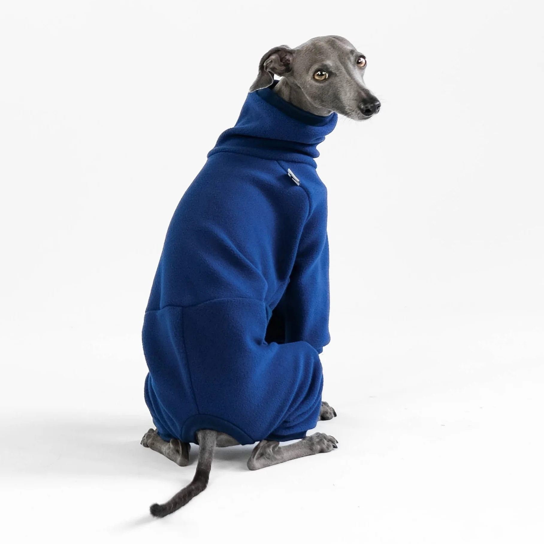 OVERALL Iggy Navy - Image 5