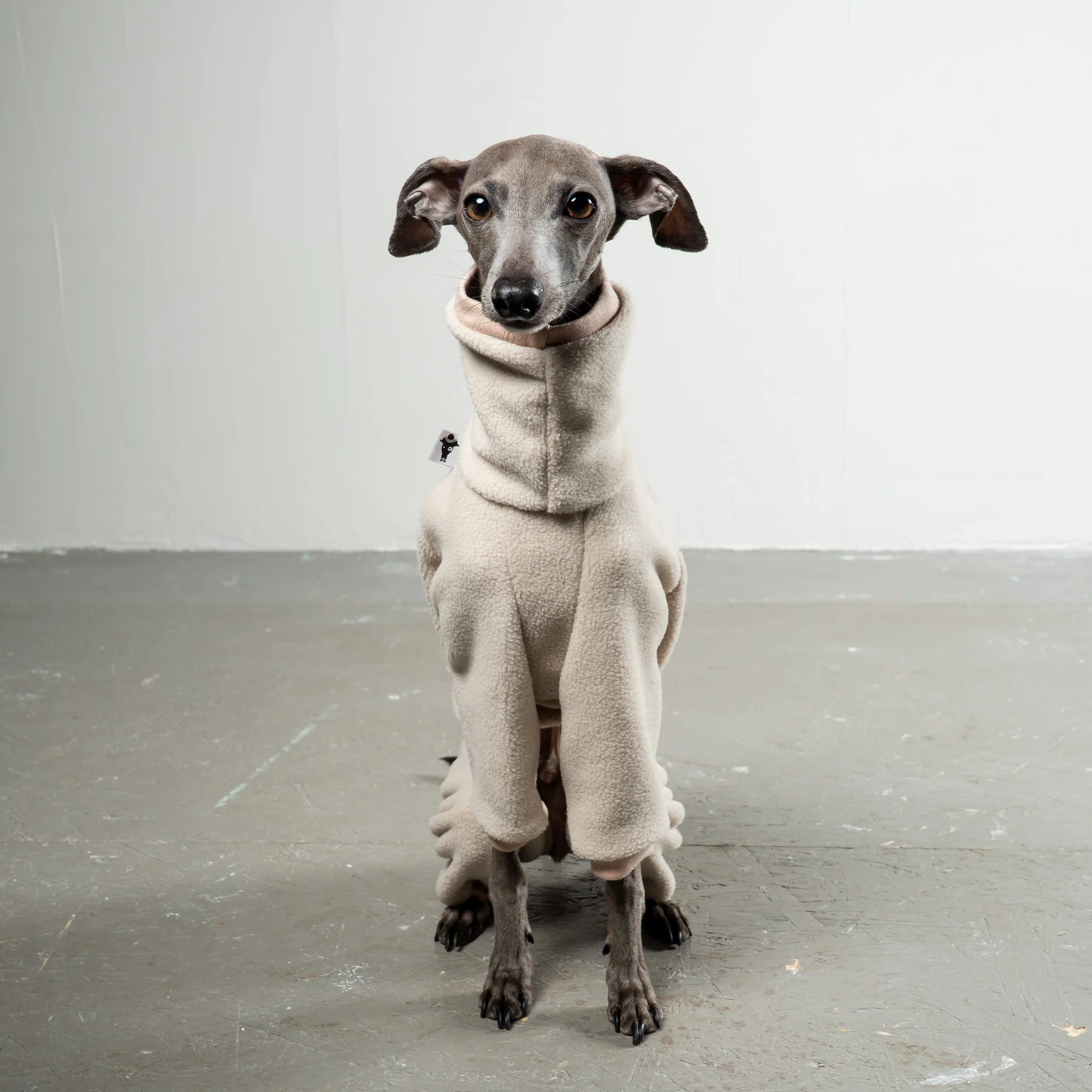 OVERALL Iggy Sand - Image 3