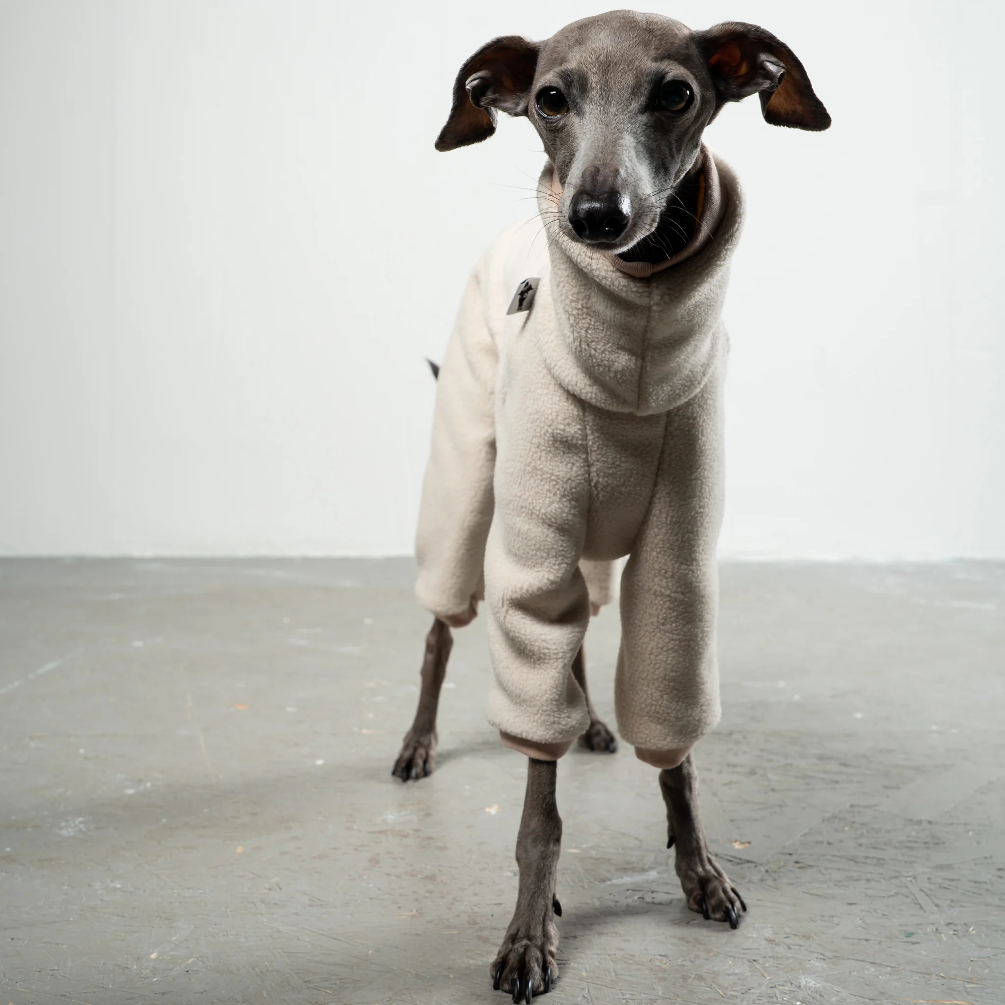 OVERALL Iggy Sand - Image 4