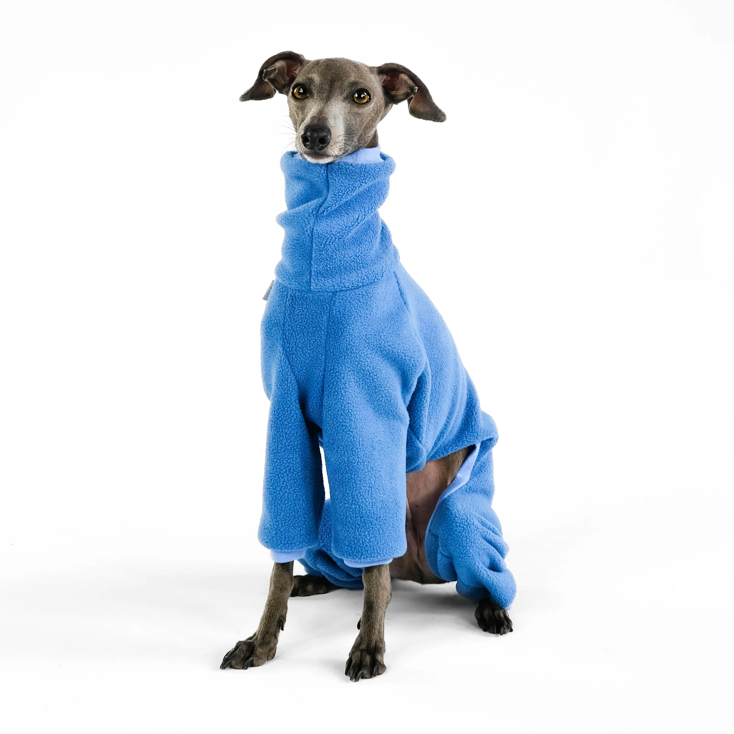 OVERALL Iggy Sky Blue - Image 4
