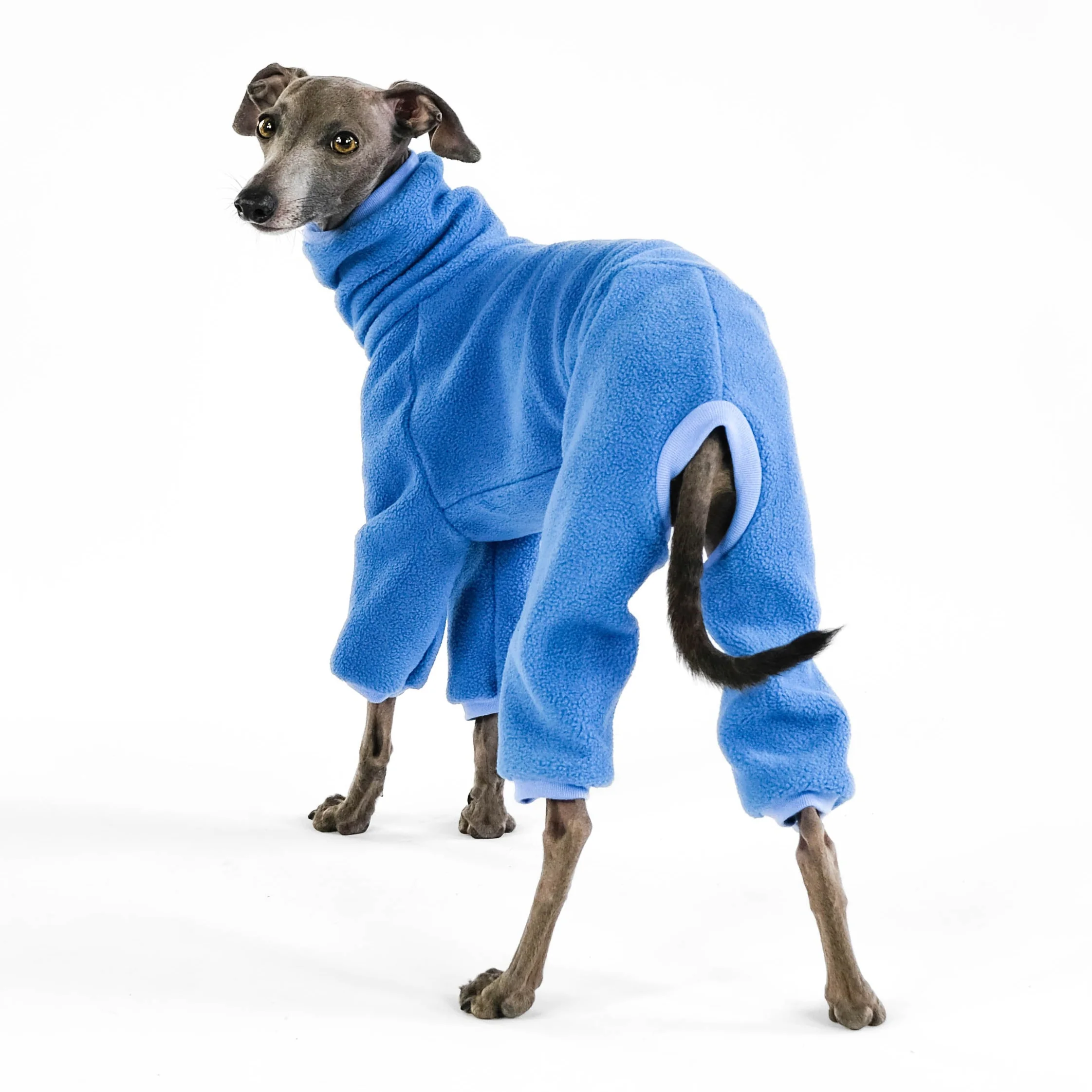 OVERALL Iggy Sky Blue - Image 5