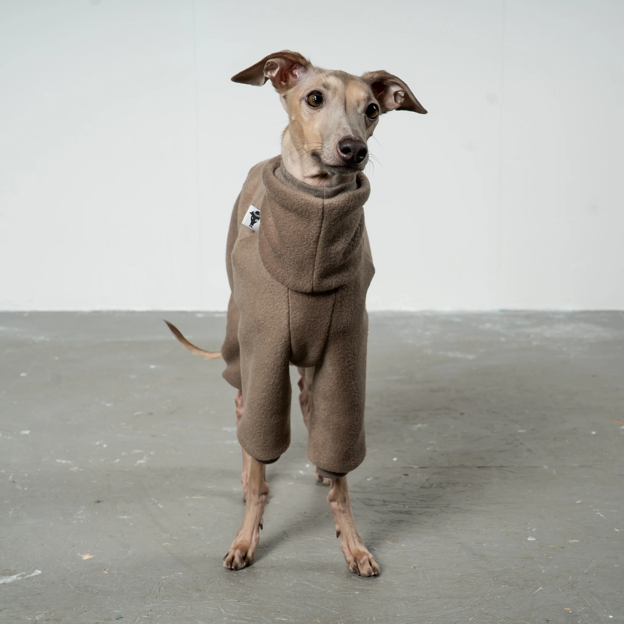 OVERALL Iggy Walnut - Image 3