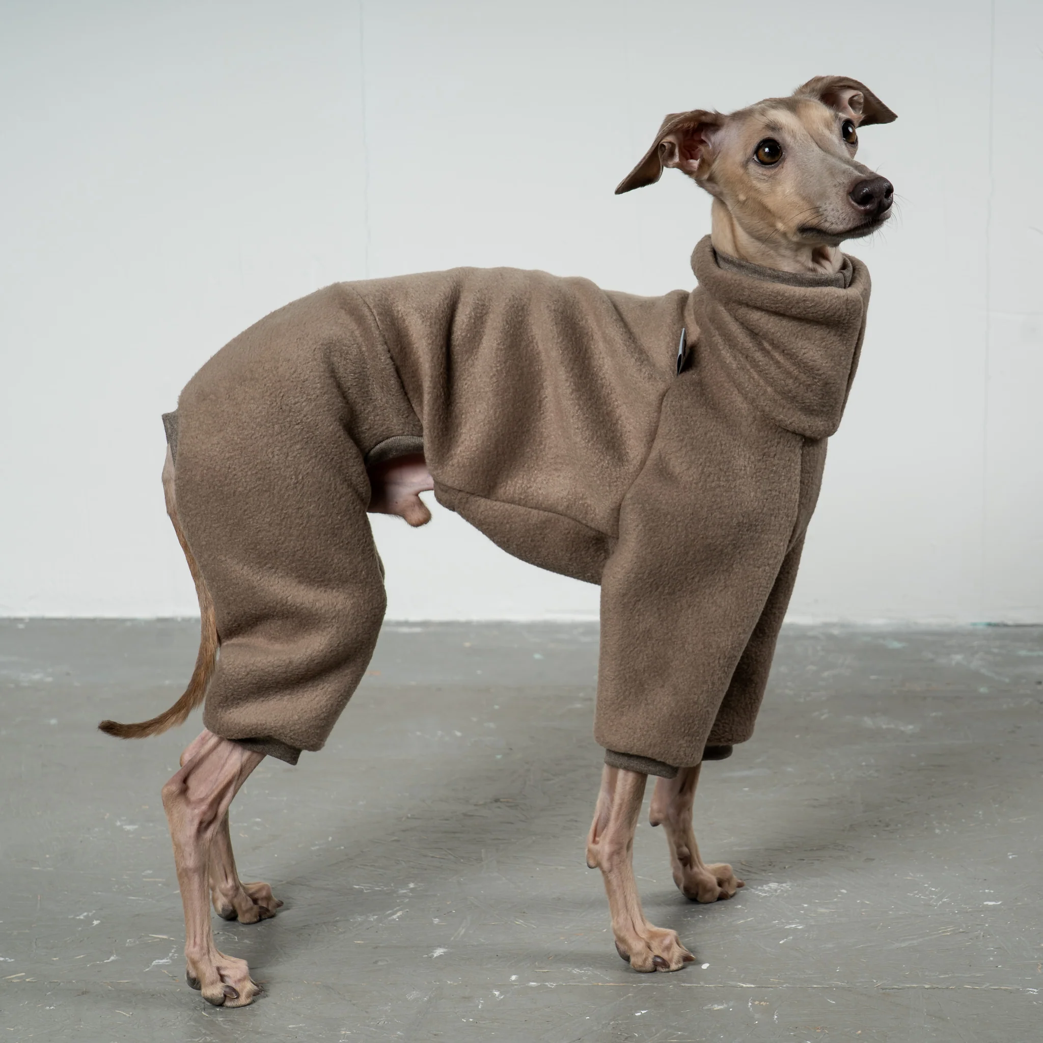 OVERALL Iggy Walnut - Image 4