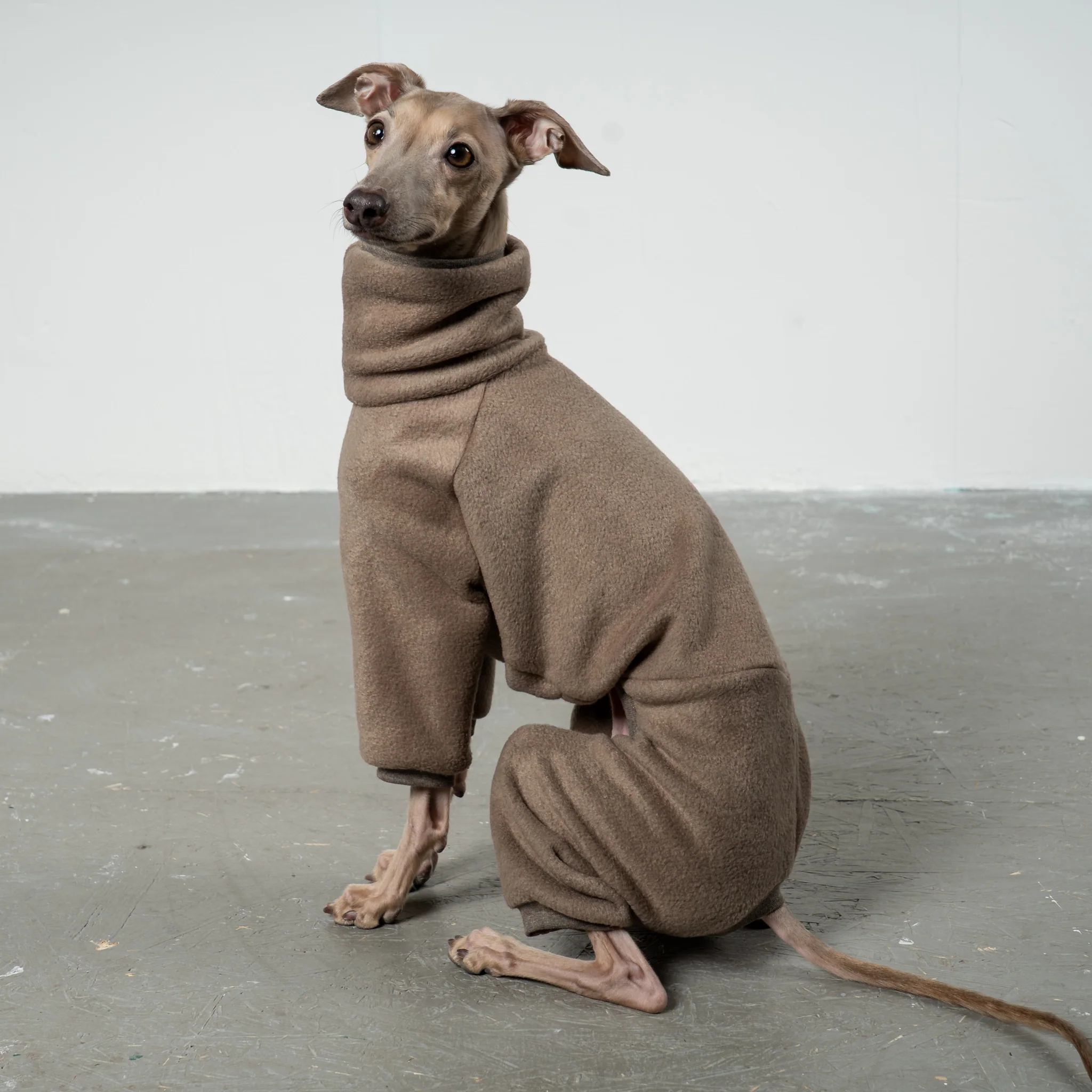 OVERALL Iggy Walnut - Image 5