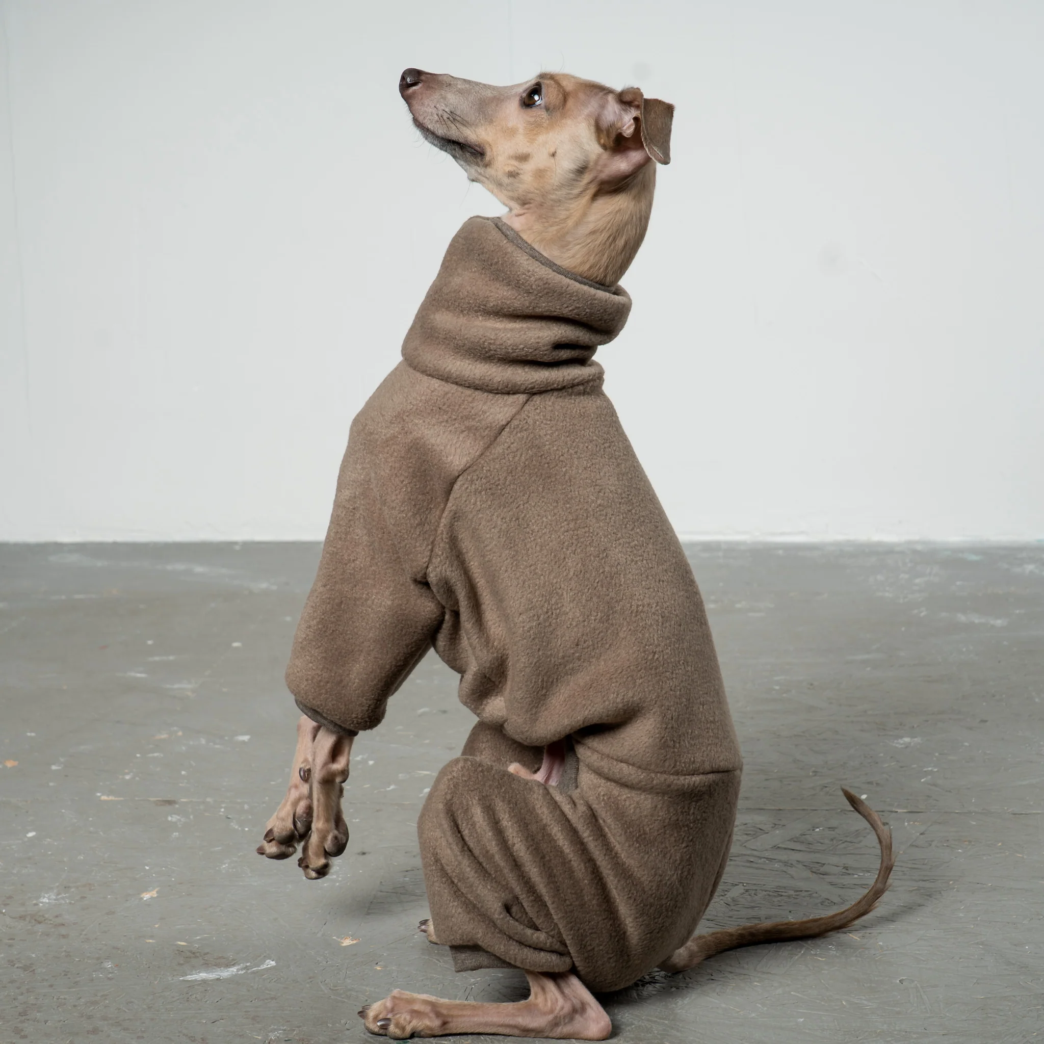 OVERALL Iggy Walnut - Image 6