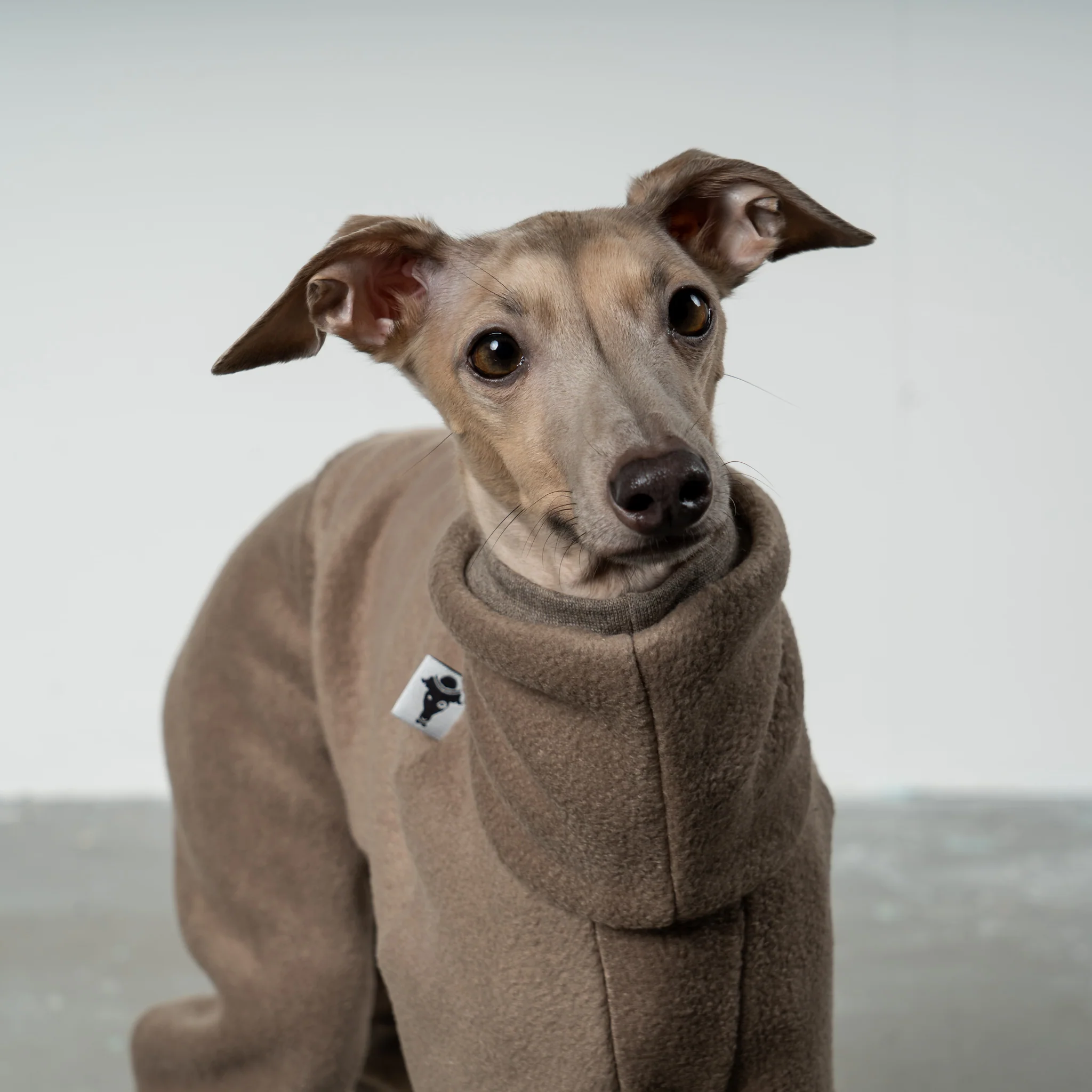 OVERALL Iggy Walnut - Image 7