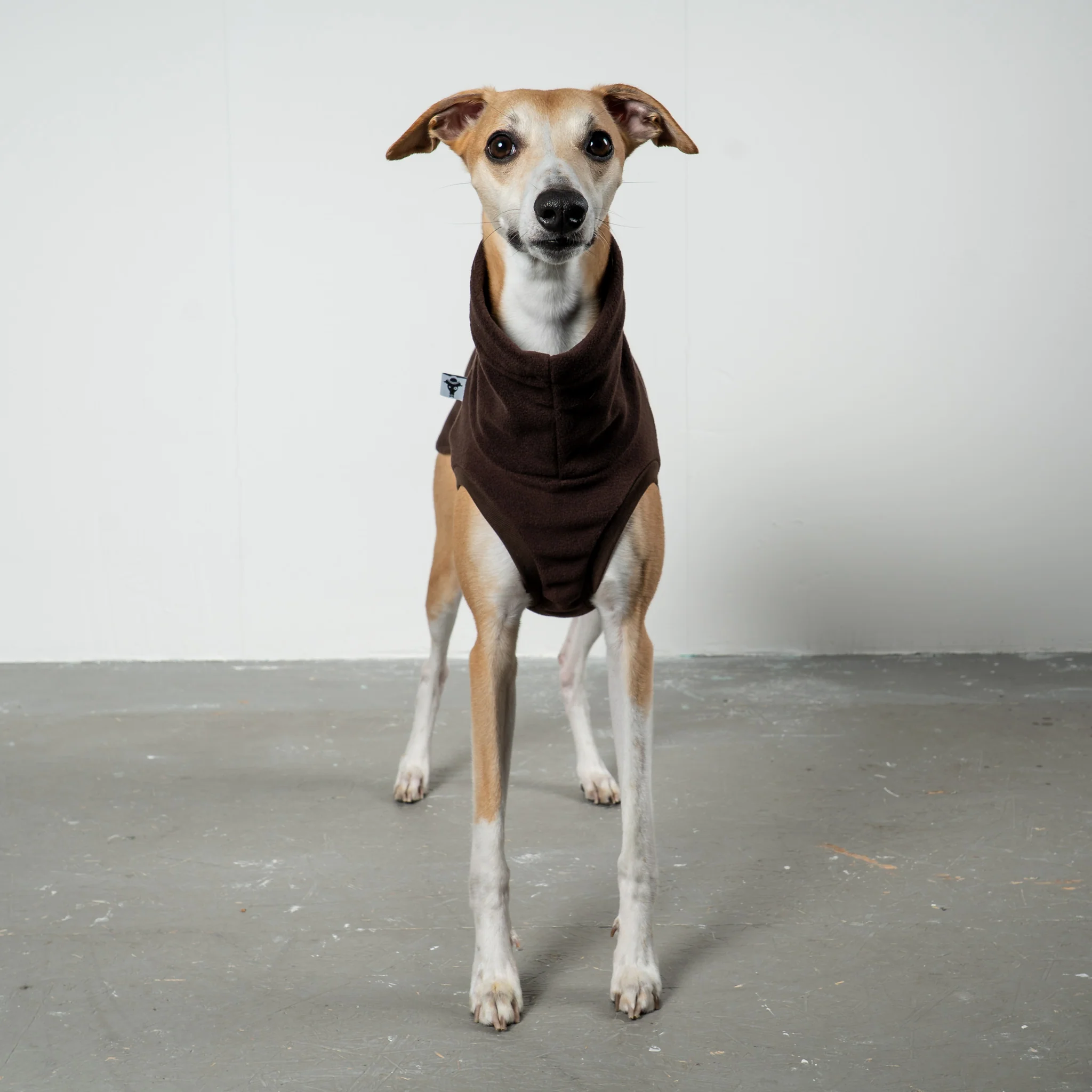 FLEECE SHIRT Windhund Espresso - Image 3