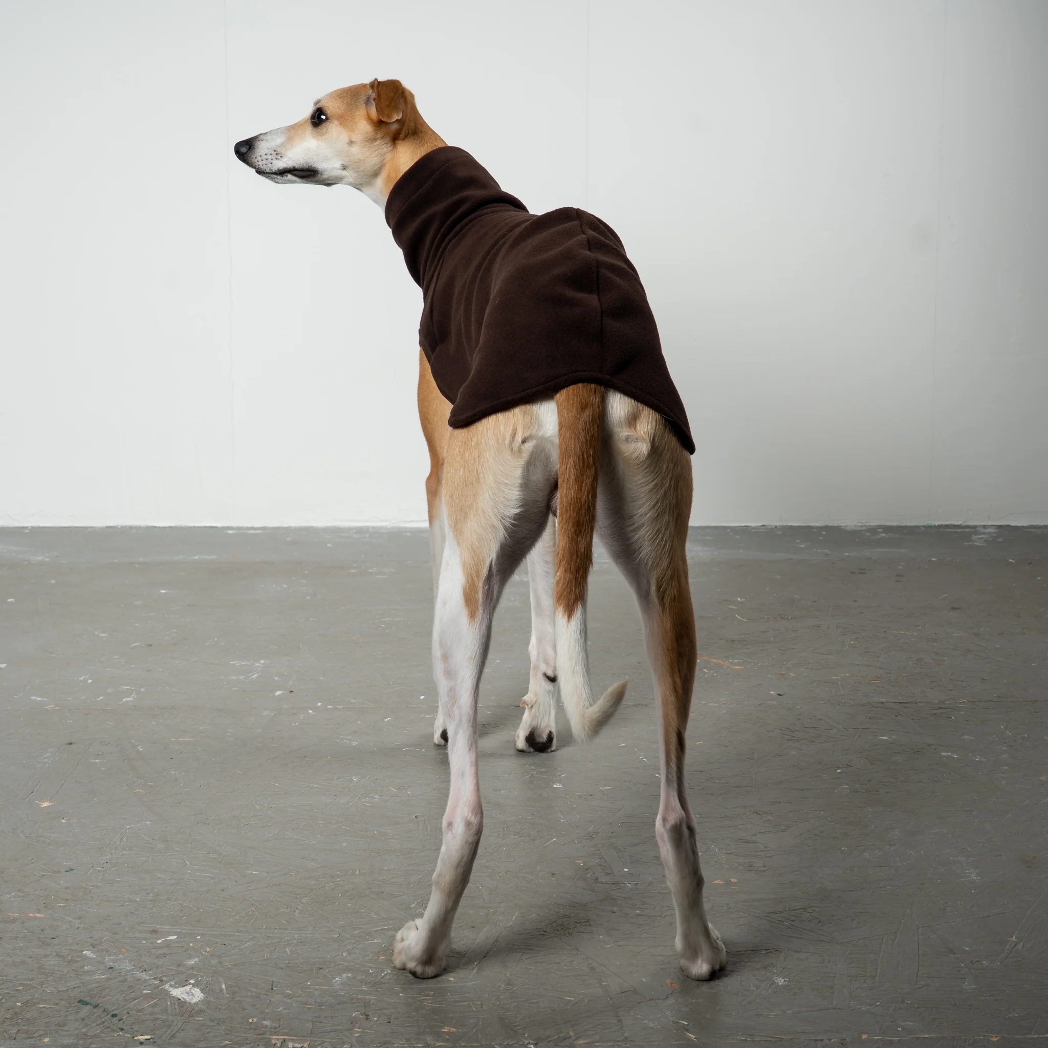 FLEECE SHIRT Windhund Espresso - Image 4