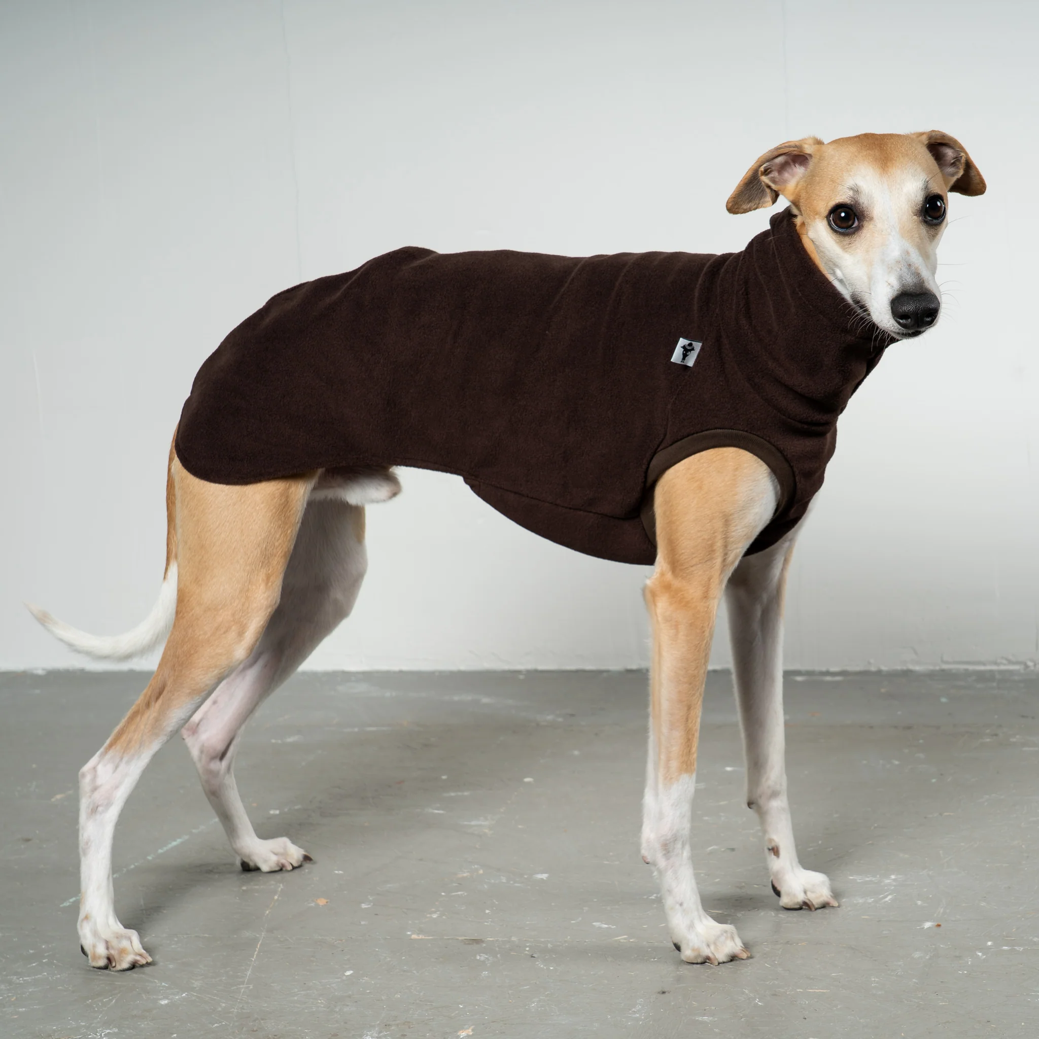 FLEECE SHIRT Windhund Espresso - Image 5
