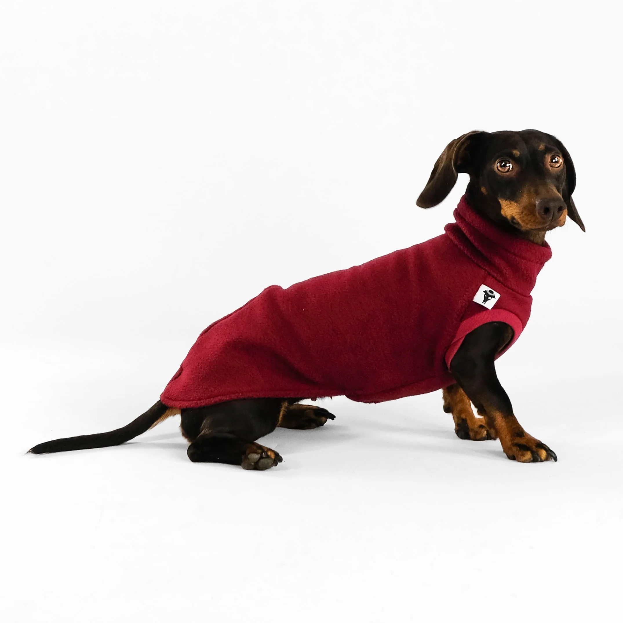 FLEECE SHIRT Dackel Bordeaux - Image 4