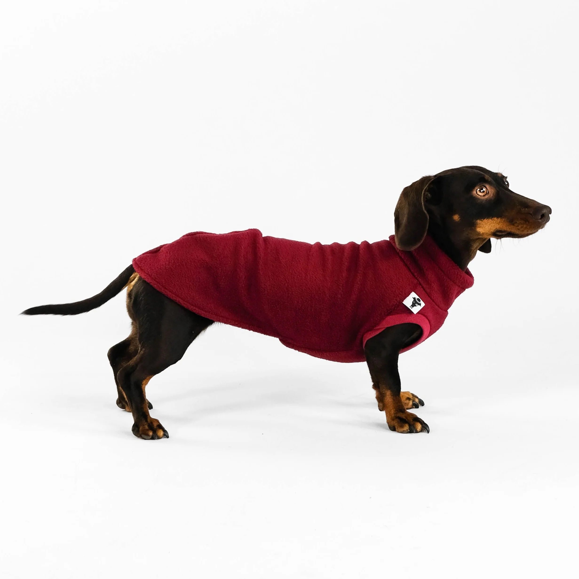 FLEECE SHIRT Dackel Bordeaux - Image 5