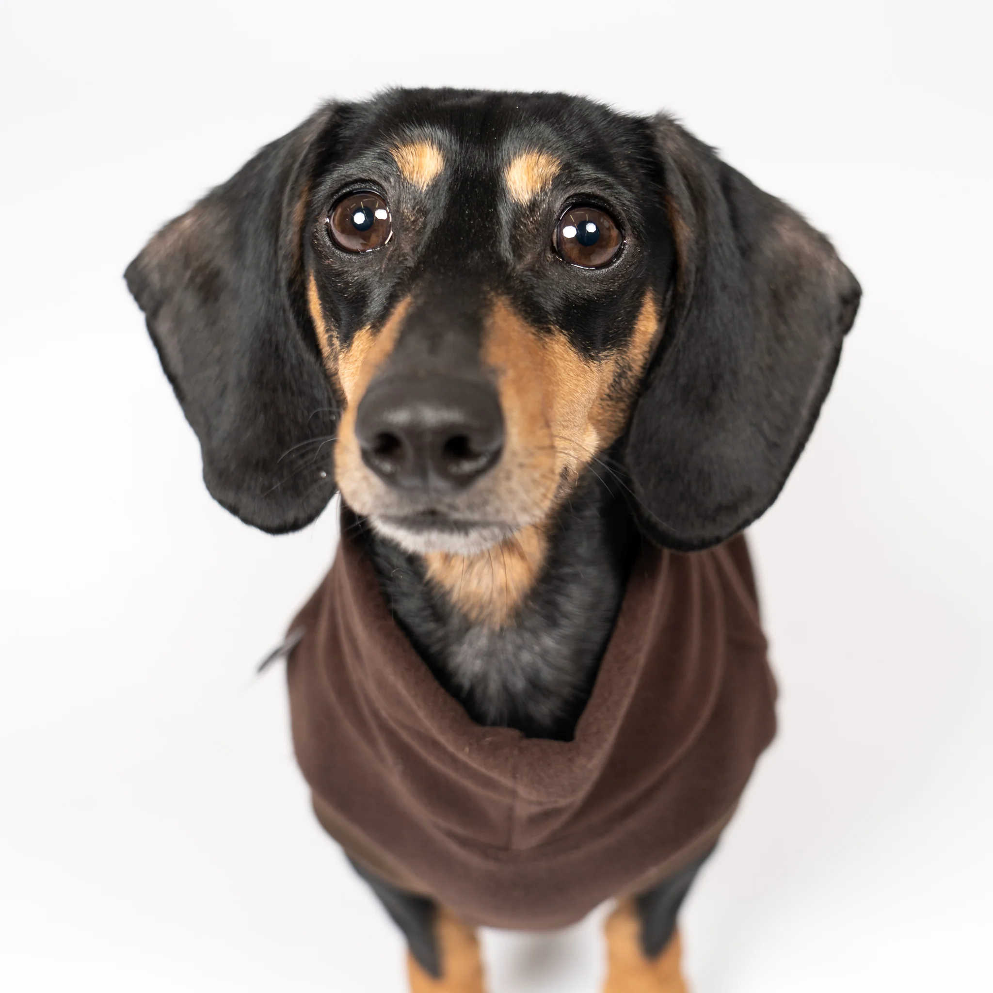 FLEECE SHIRT Dackel Espresso - Image 3