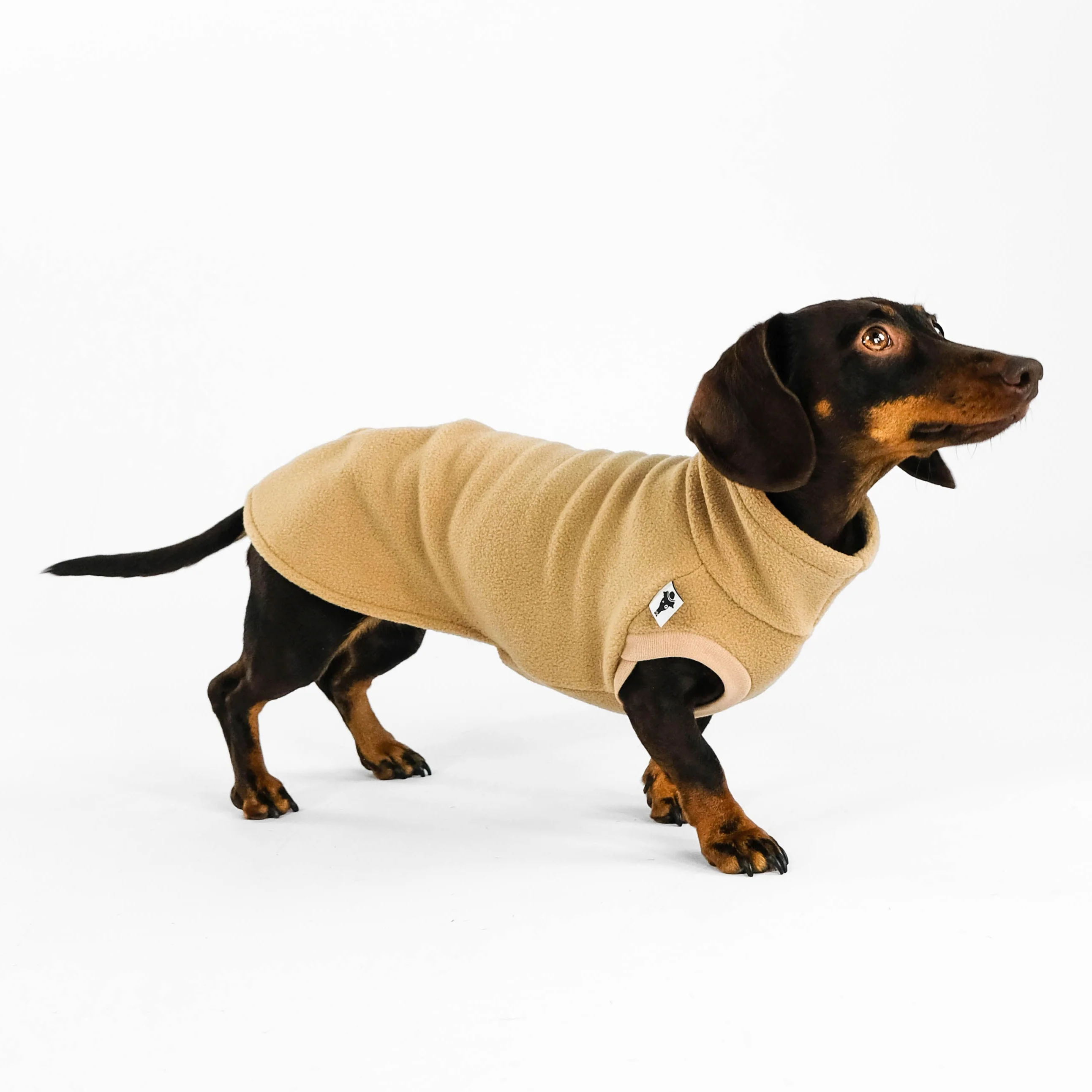 FLEECE SHIRT Dackel Camel - Image 4