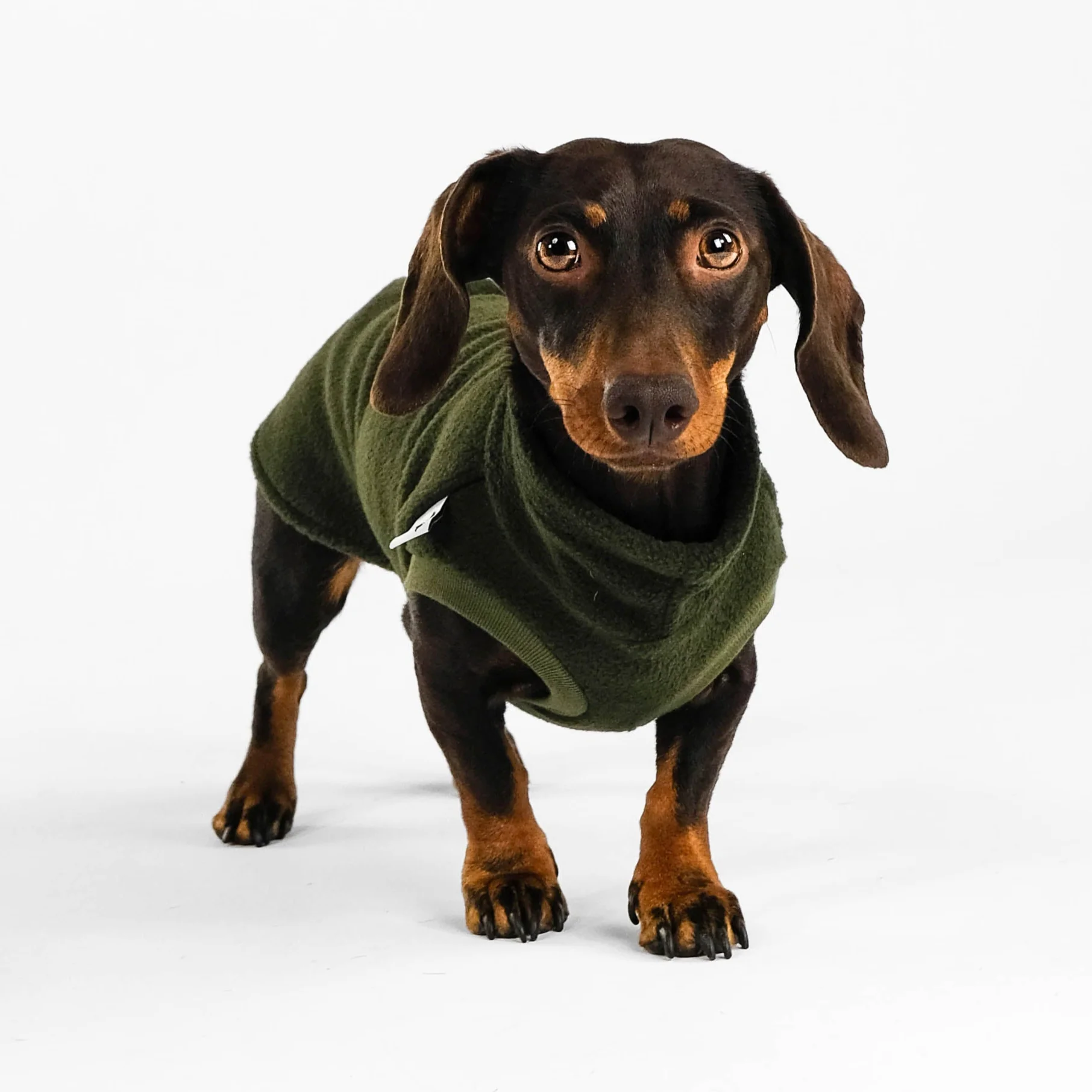 FLEECE SHIRT Dackel Dark Olive - Image 4