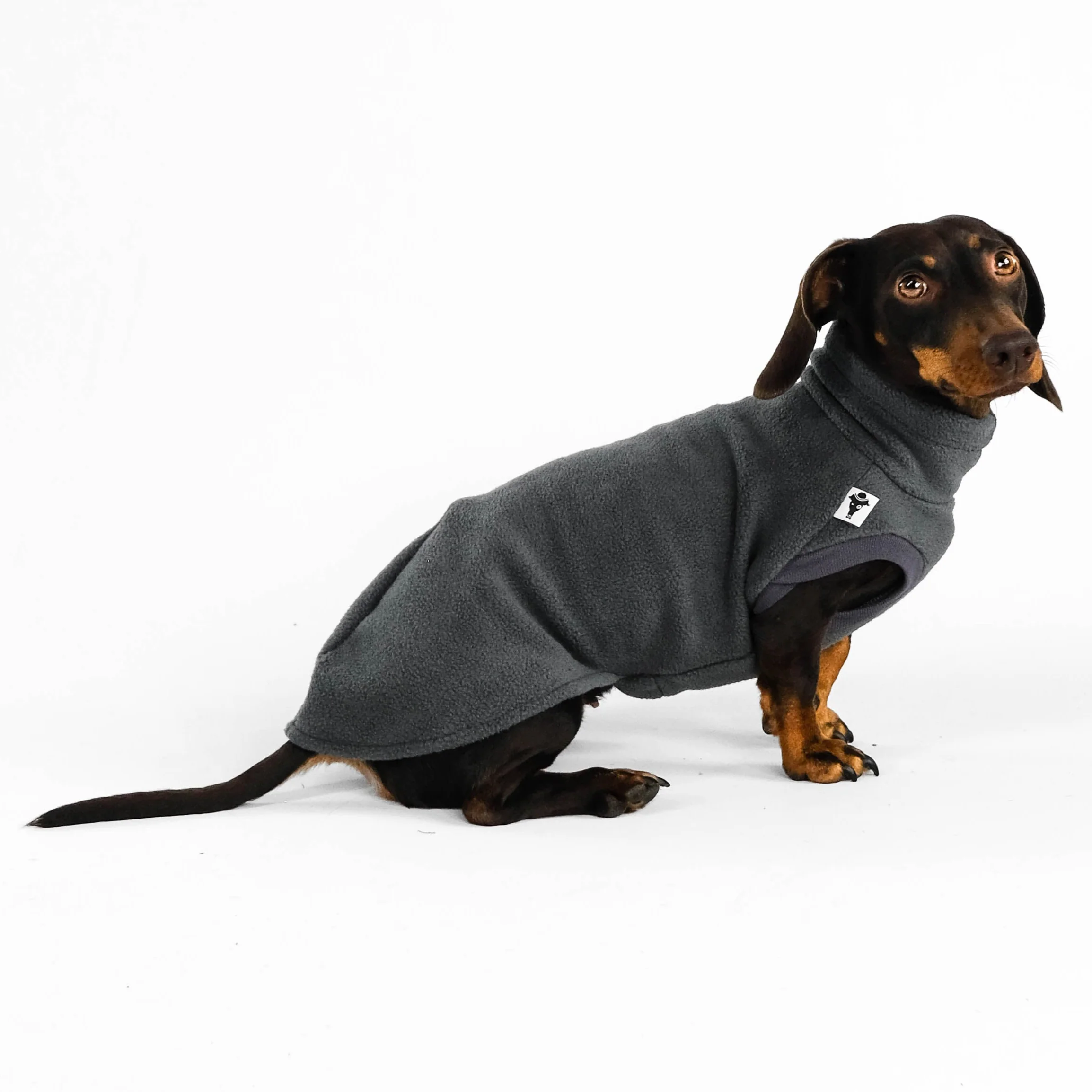 FLEECE SHIRT Dackel Graphite - Image 4