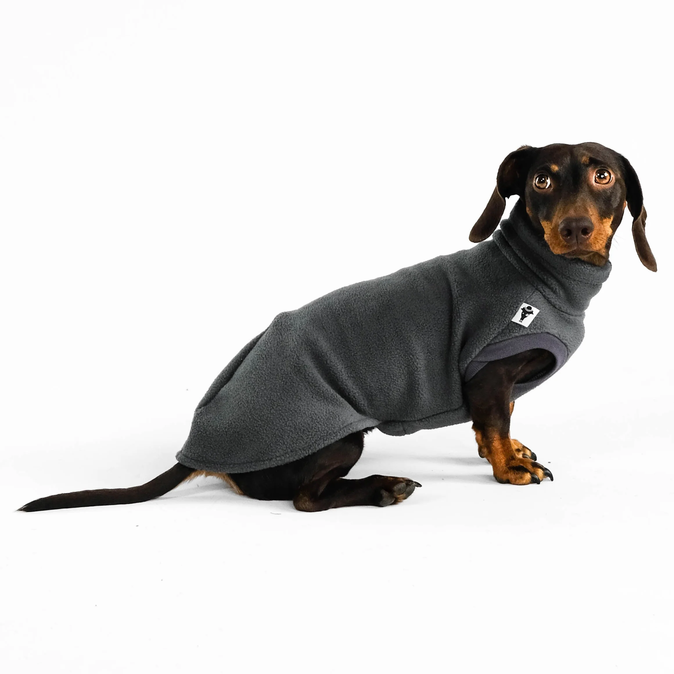 FLEECE SHIRT Dackel Graphite - Image 5
