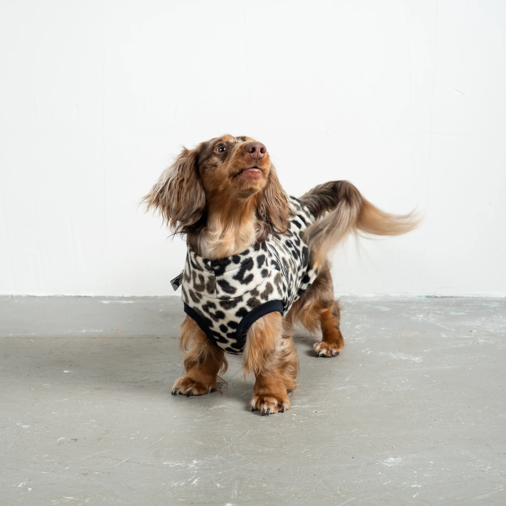 FLEECE SHIRT Dackel Leo - Image 3