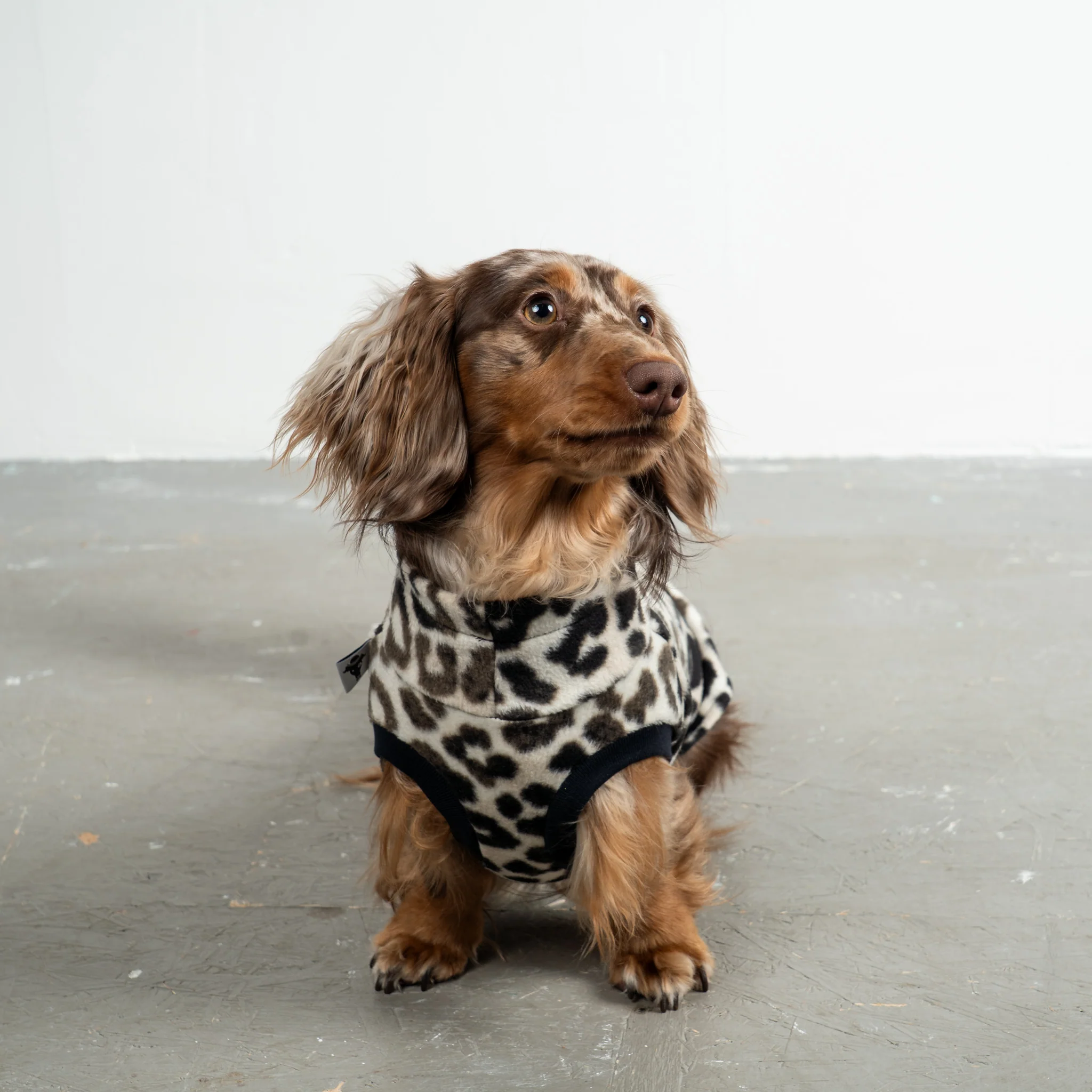 FLEECE SHIRT Dackel Leo - Image 4