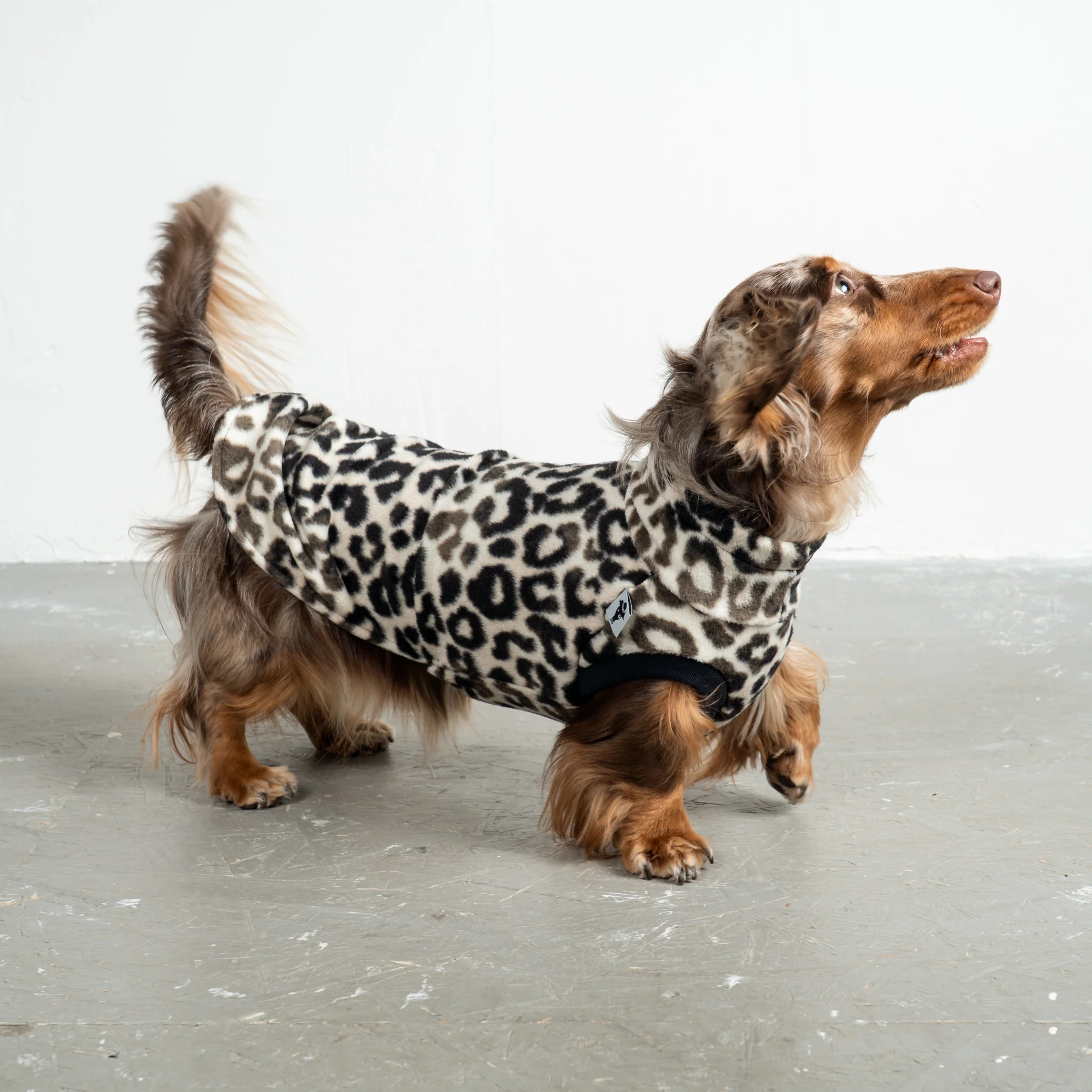 FLEECE SHIRT Dackel Leo - Image 5