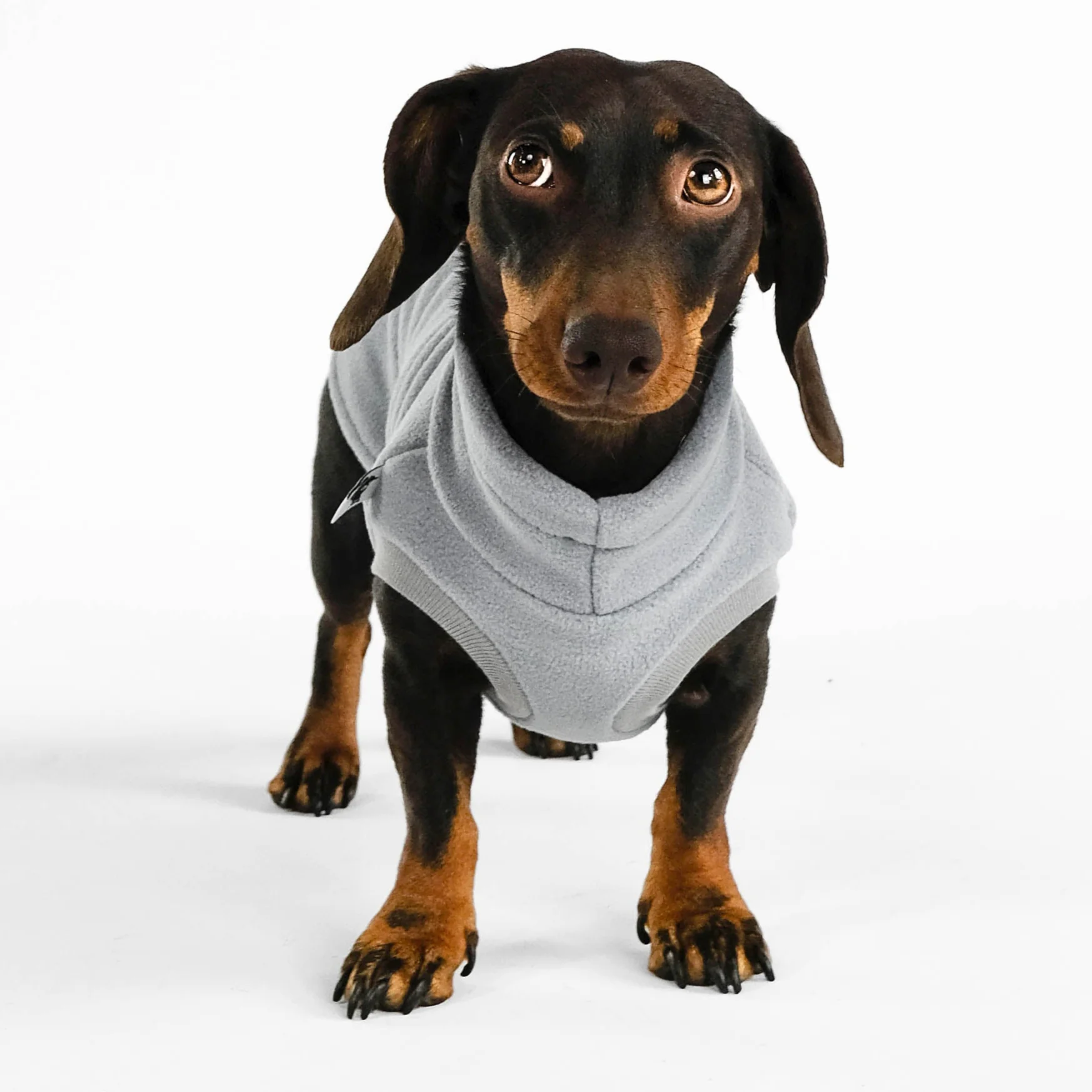 FLEECE SHIRT Dackel Light Grey - Image 4