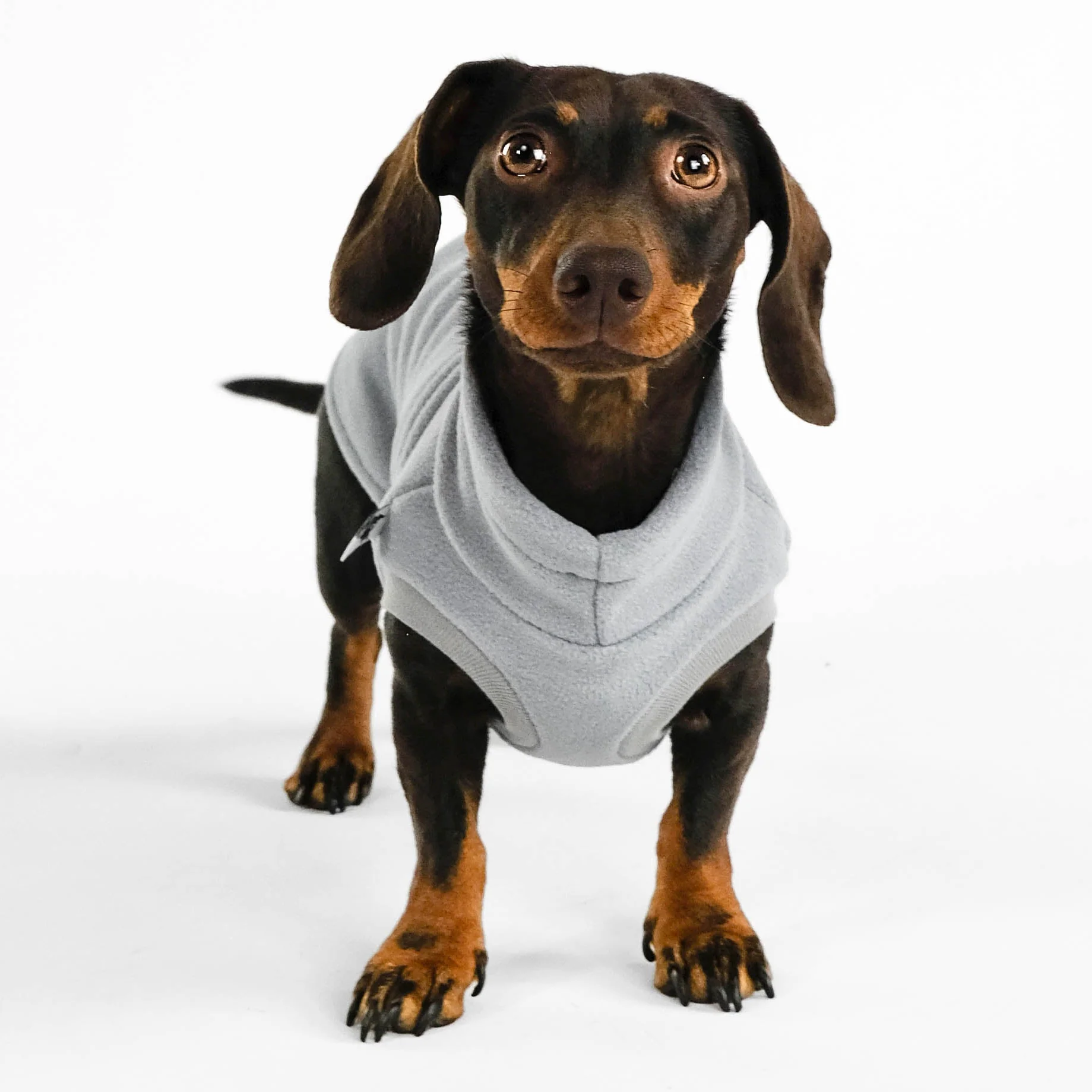 FLEECE SHIRT Dackel Light Grey - Image 5