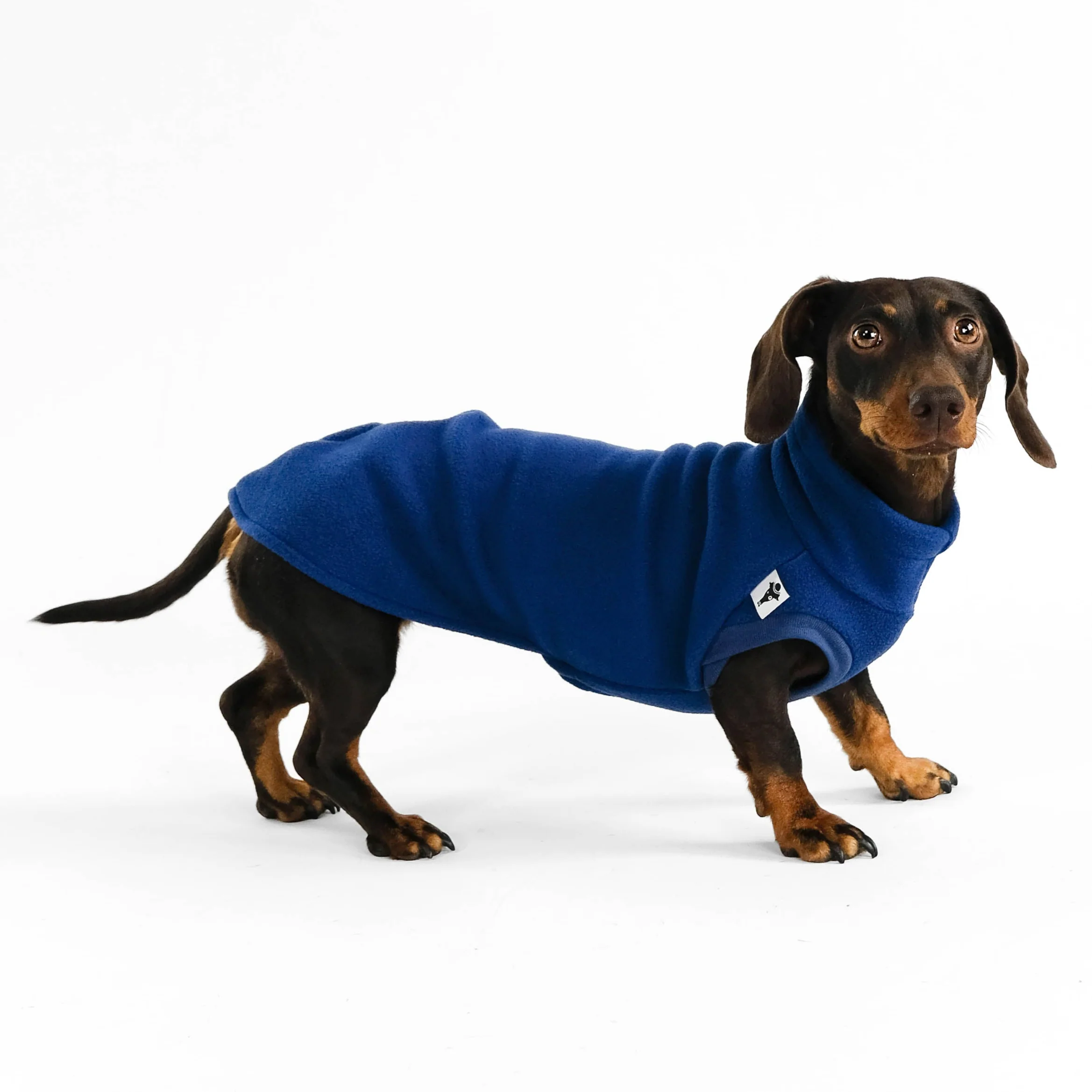 FLEECE SHIRT Dackel Navy - Image 4
