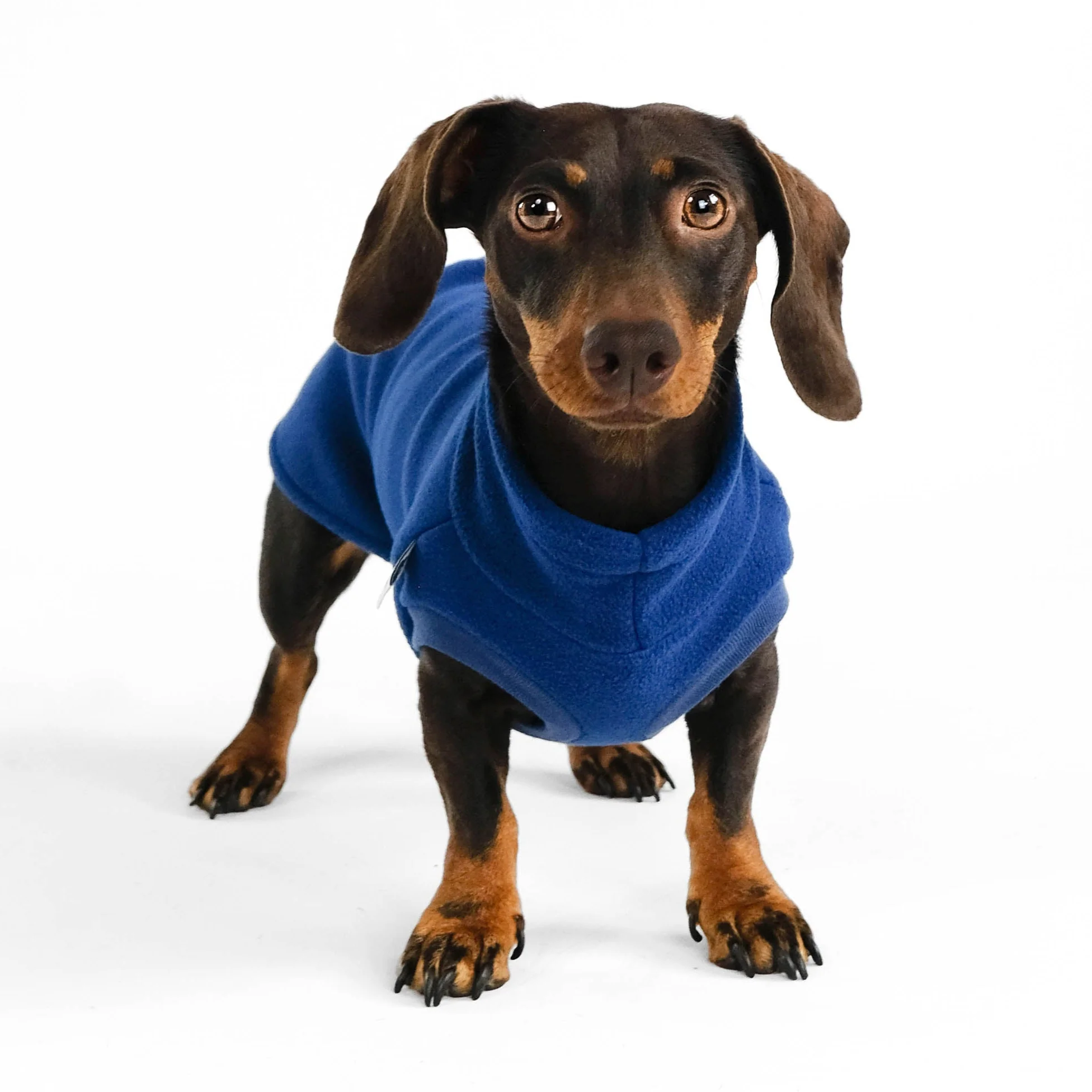FLEECE SHIRT Dackel Navy - Image 5