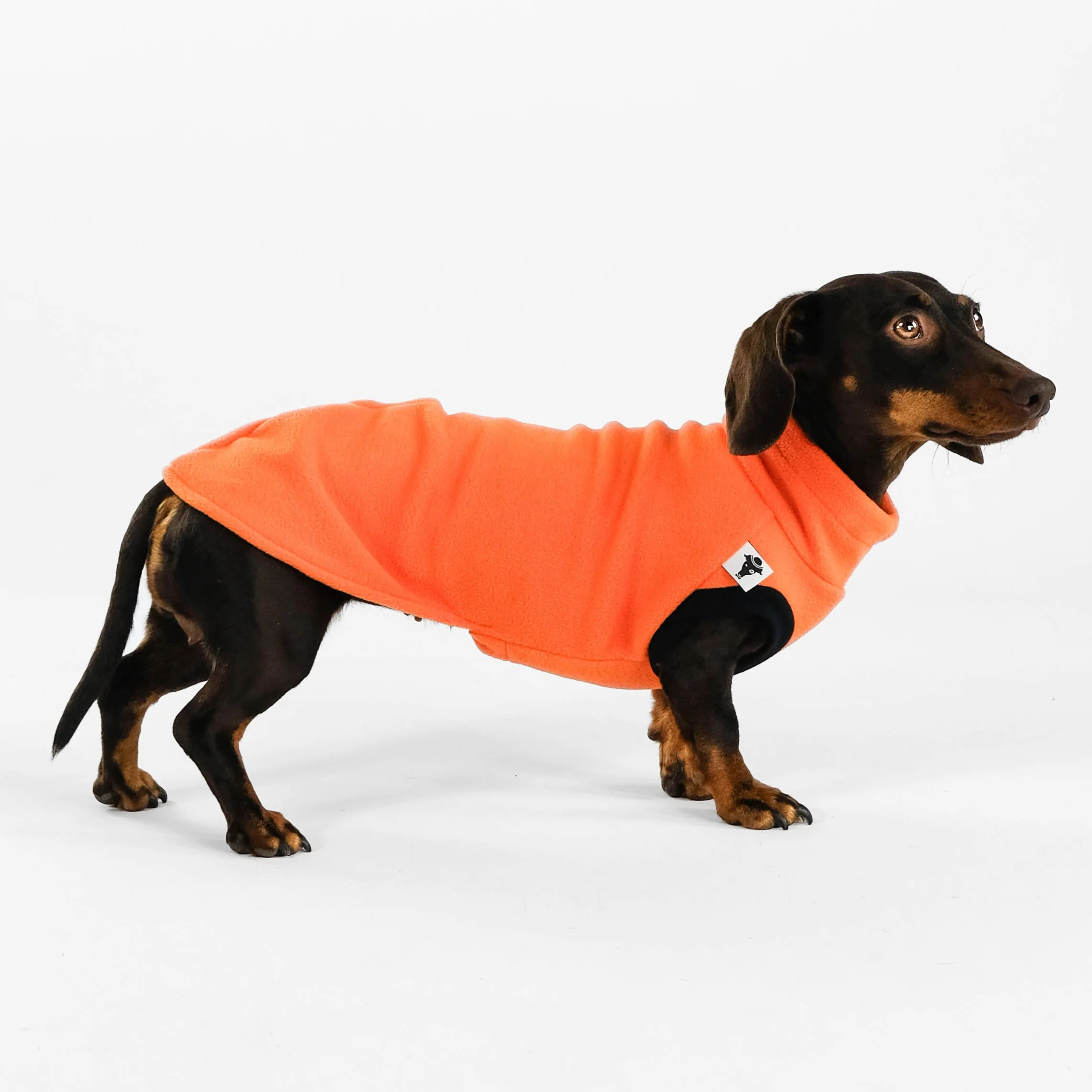 FLEECE SHIRT Dackel Orange - Image 4
