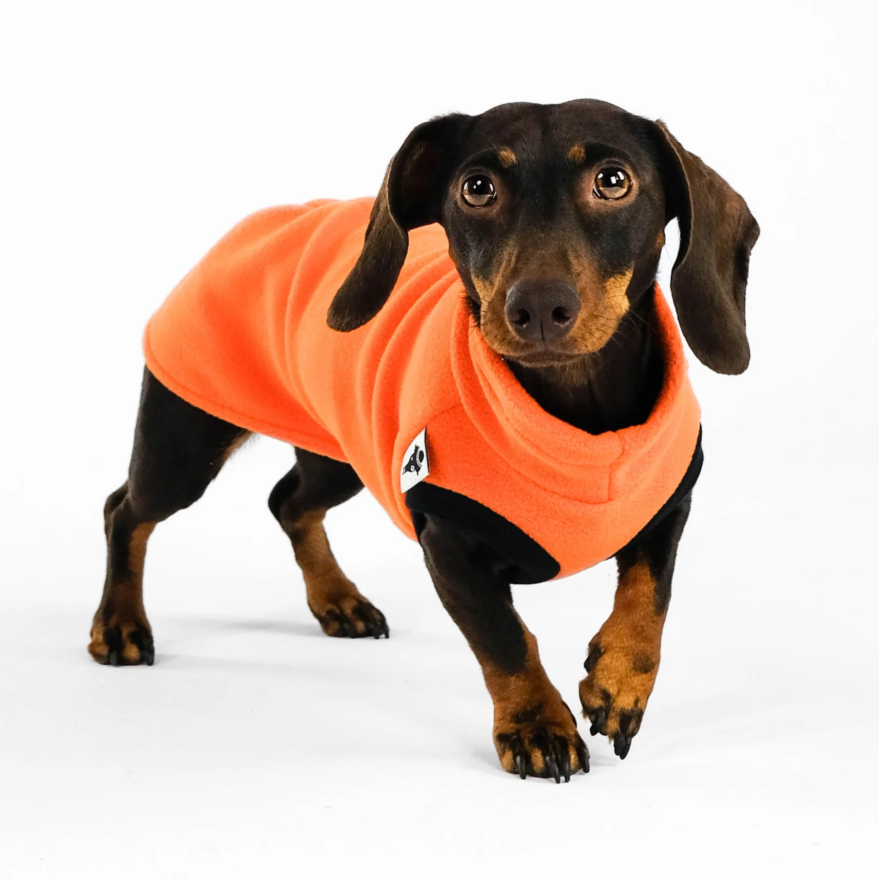 FLEECE SHIRT Dackel Orange - Image 5