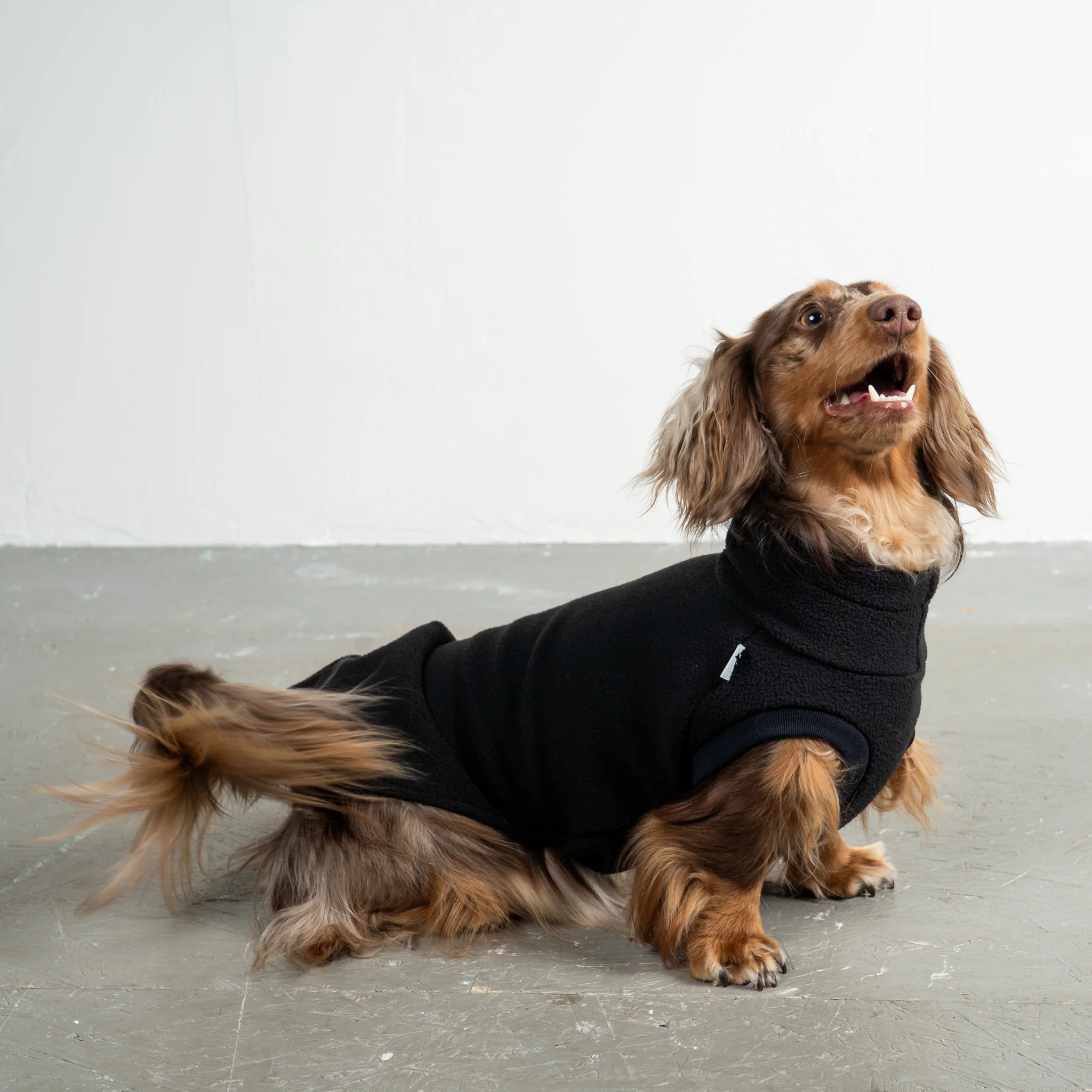FLEECE SHIRT Dackel Schwarz - Image 2