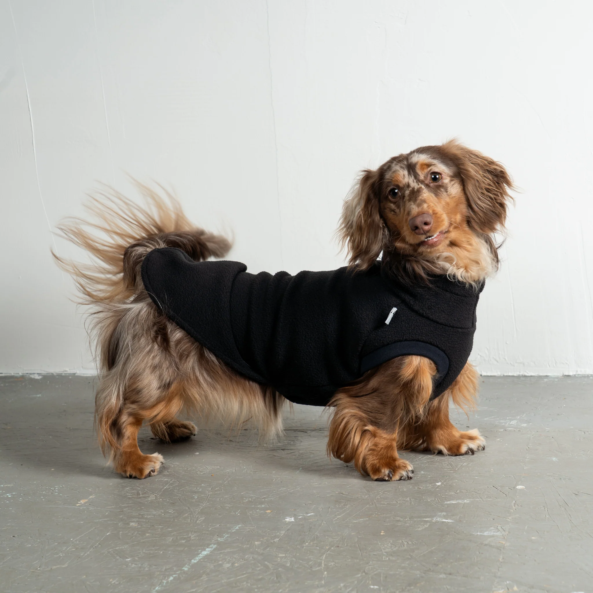 FLEECE SHIRT Dackel Schwarz - Image 3