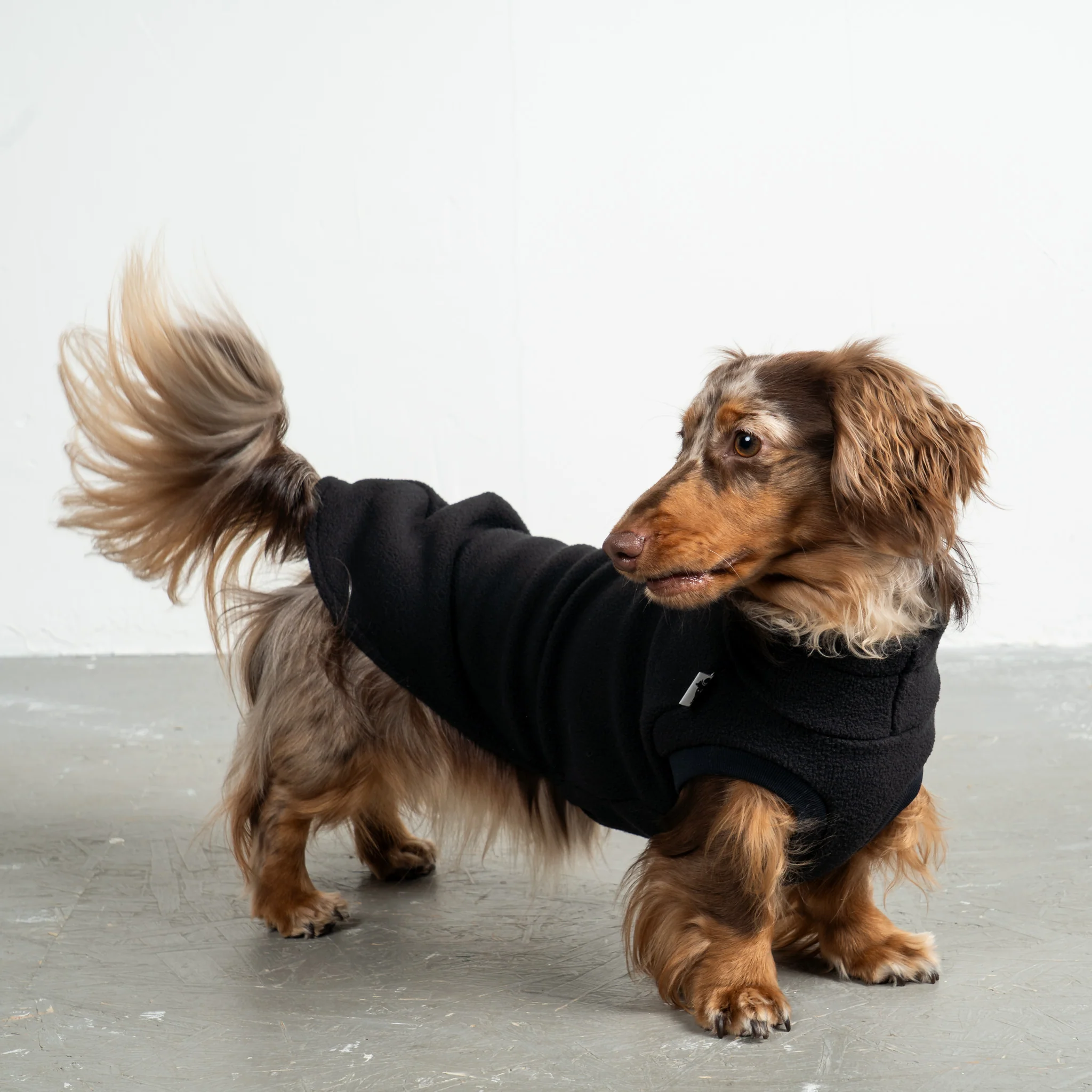 FLEECE SHIRT Dackel Schwarz - Image 4