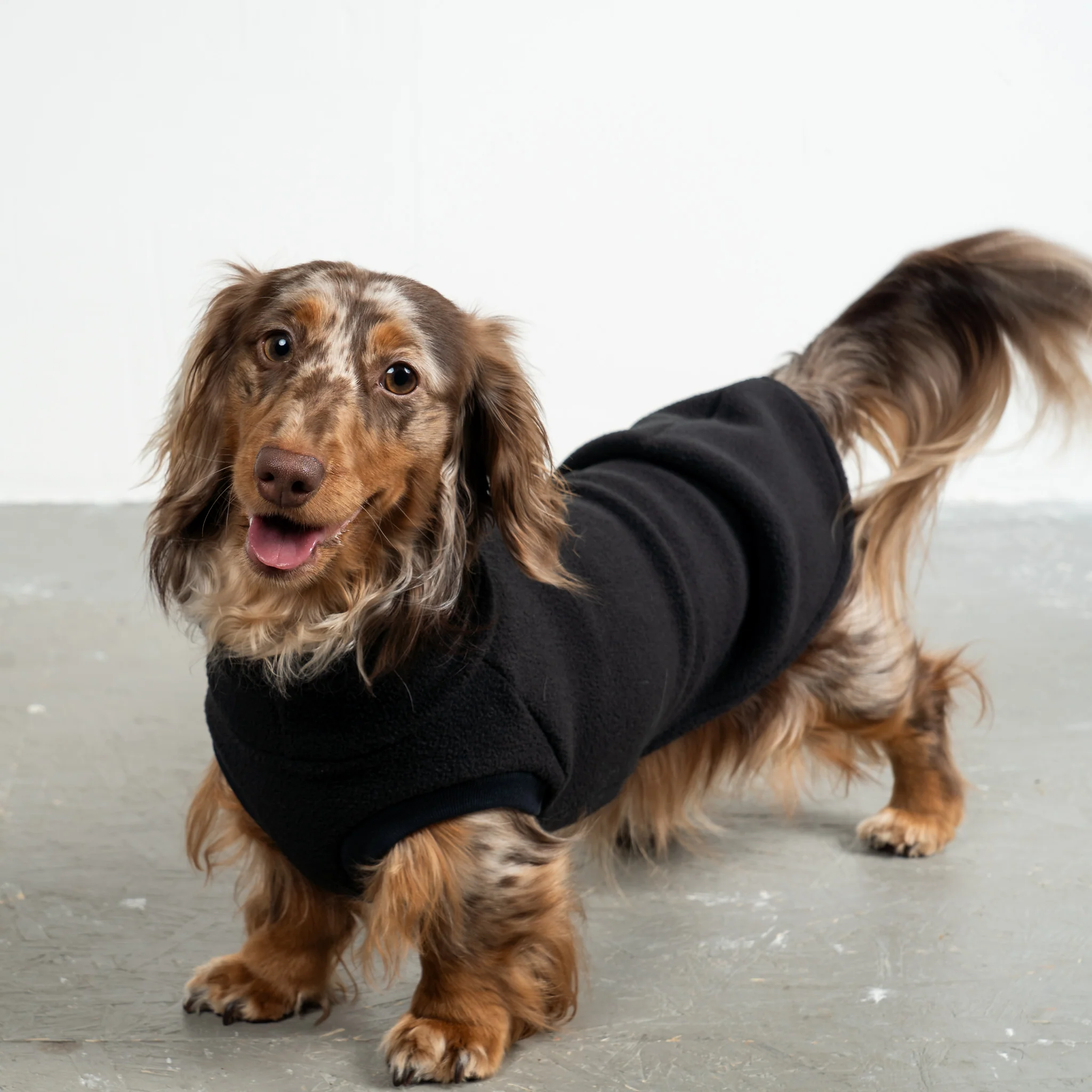FLEECE SHIRT Dackel Schwarz - Image 5