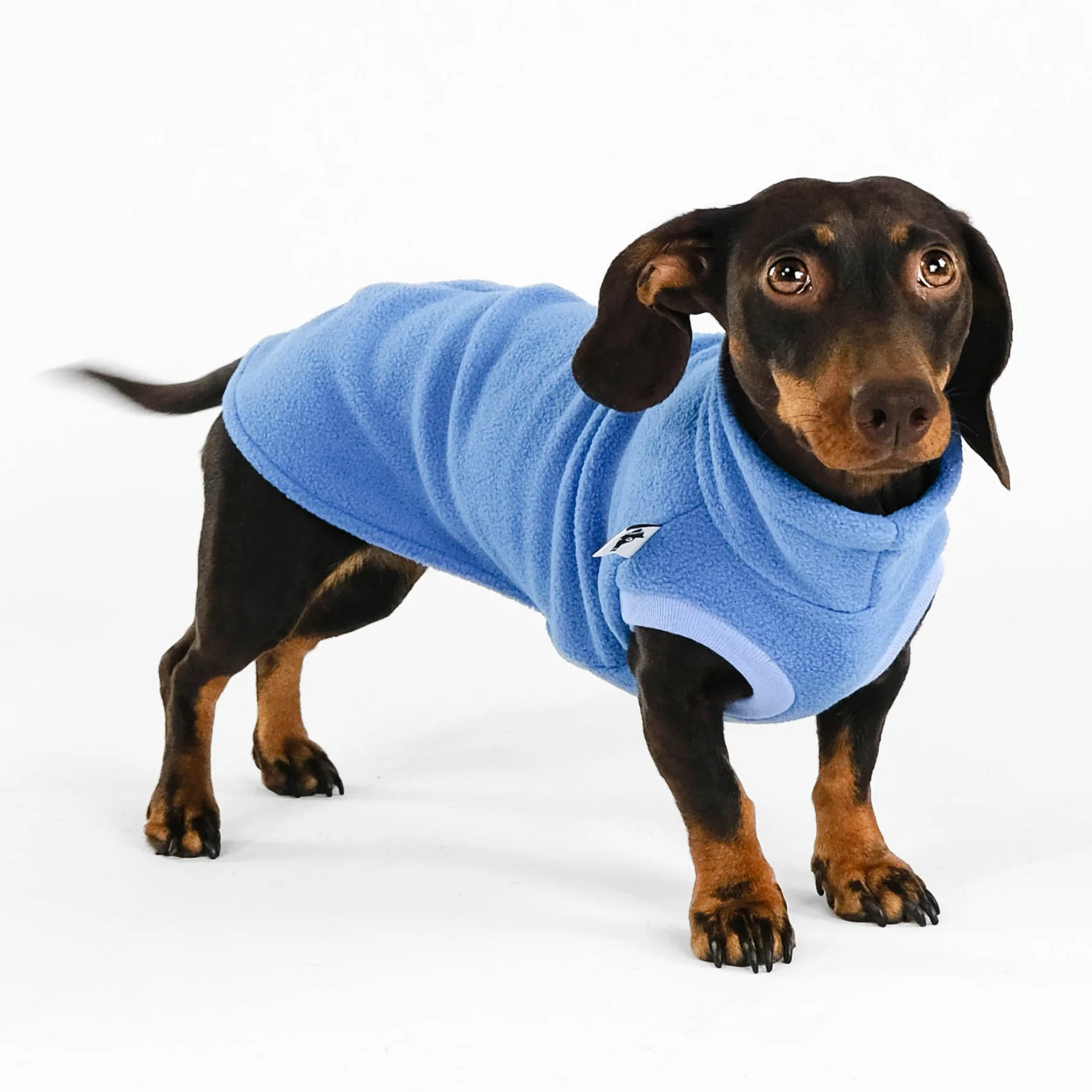 FLEECE SHIRT Dackel Sky Blue - Image 4