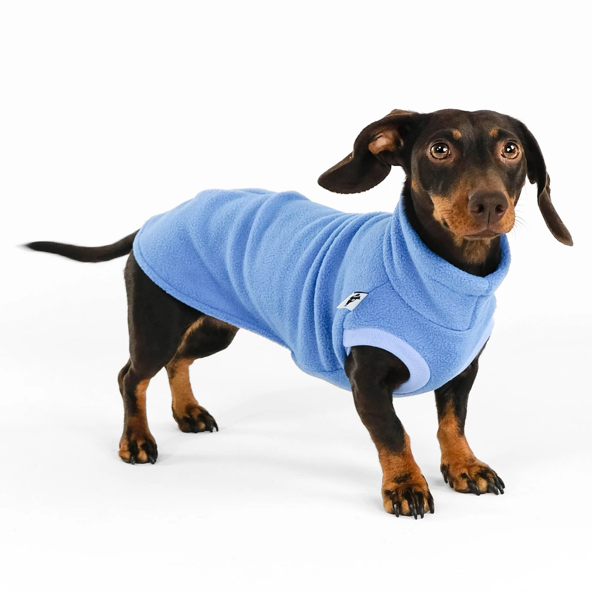 FLEECE SHIRT Dackel Sky Blue - Image 5