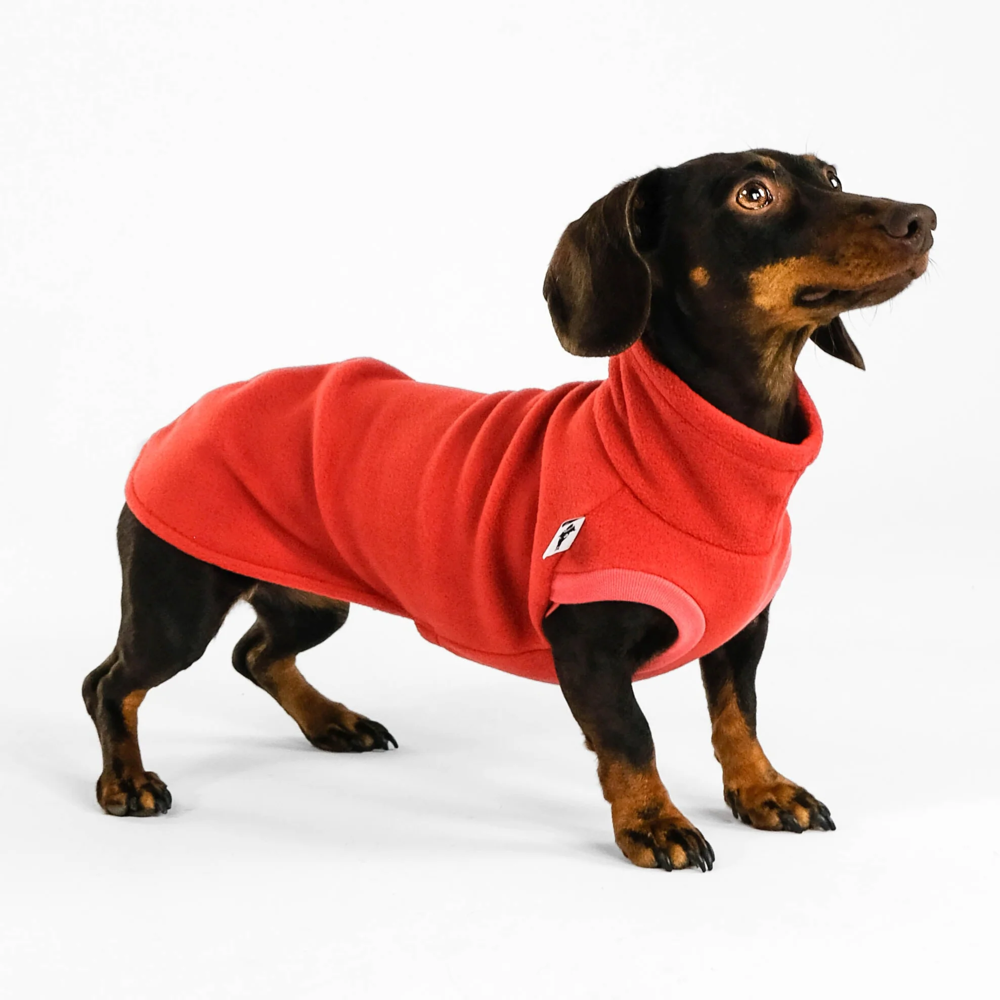 FLEECE SHIRT Dackel Terracotta - Image 4