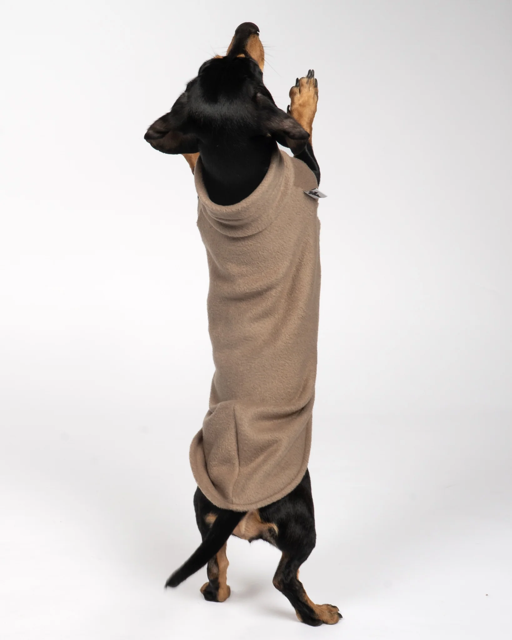 FLEECE SHIRT Dackel Walnut - Image 6