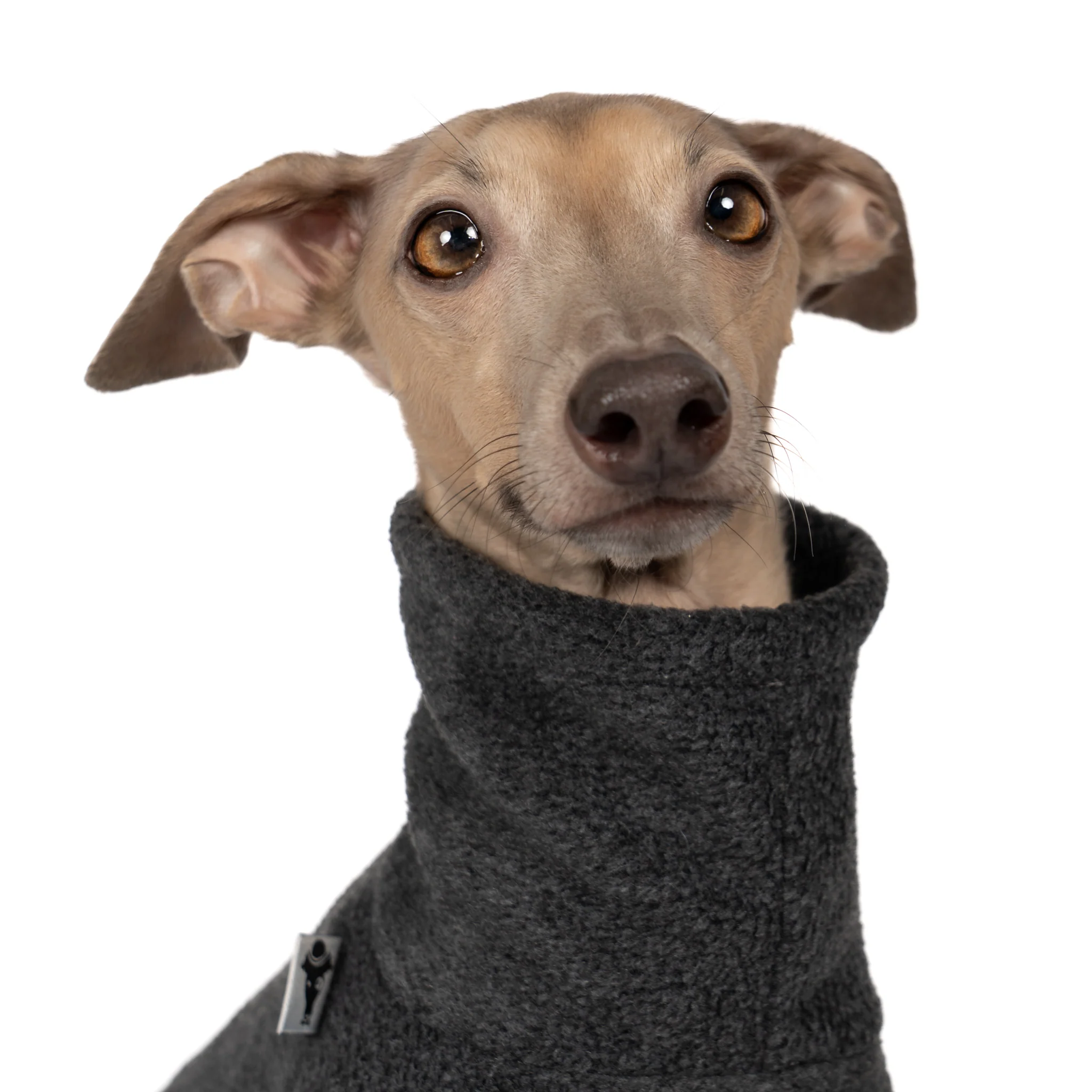 FLEECE SHIRT Iggy Anthrazit - Image 6