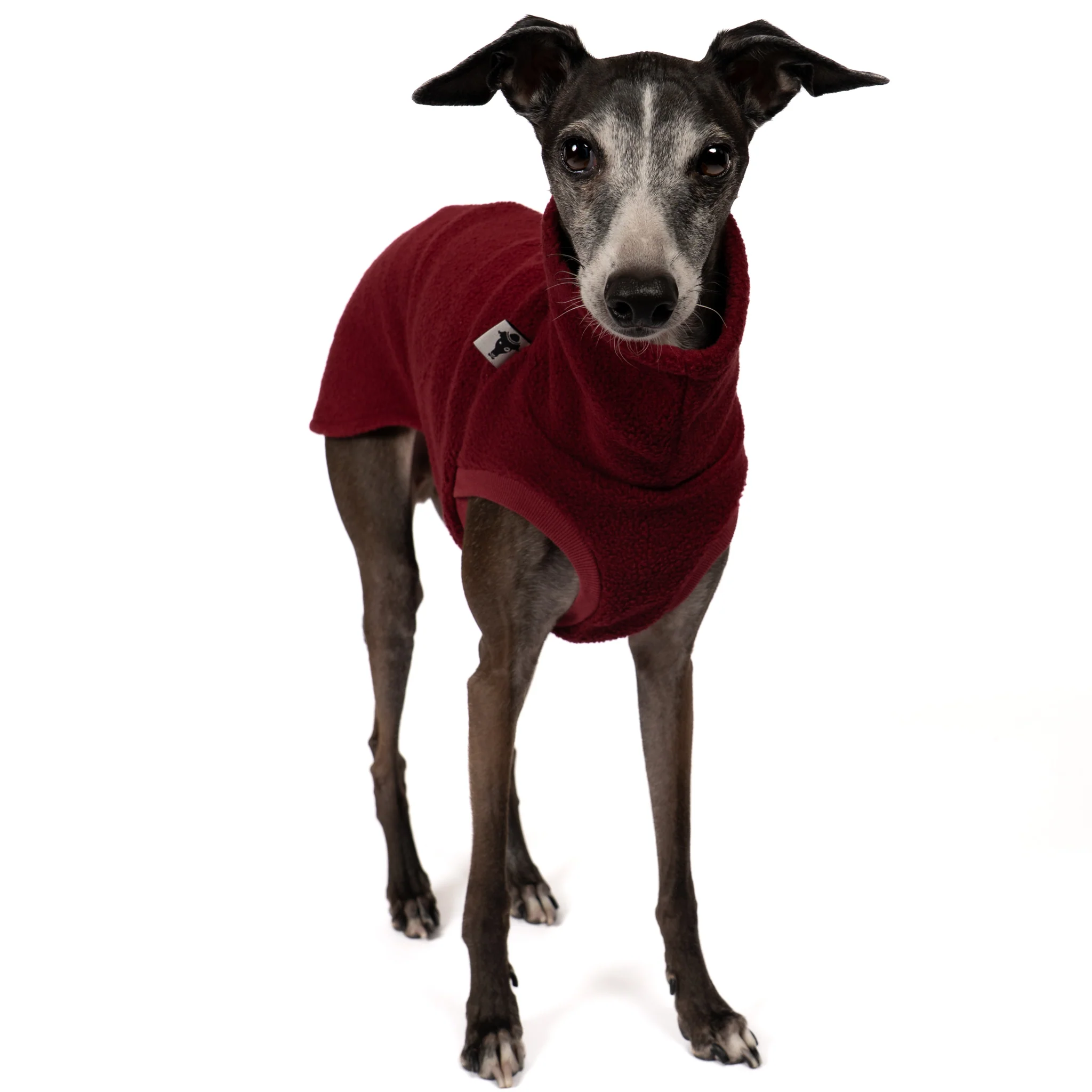FLEECE SHIRT Iggy Bordeaux - Image 4