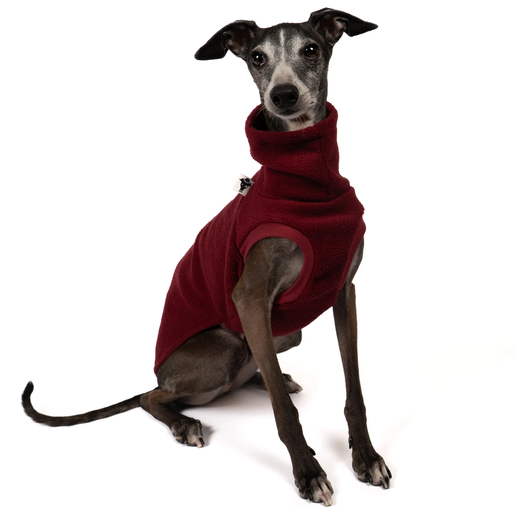 FLEECE SHIRT Iggy Bordeaux - Image 5